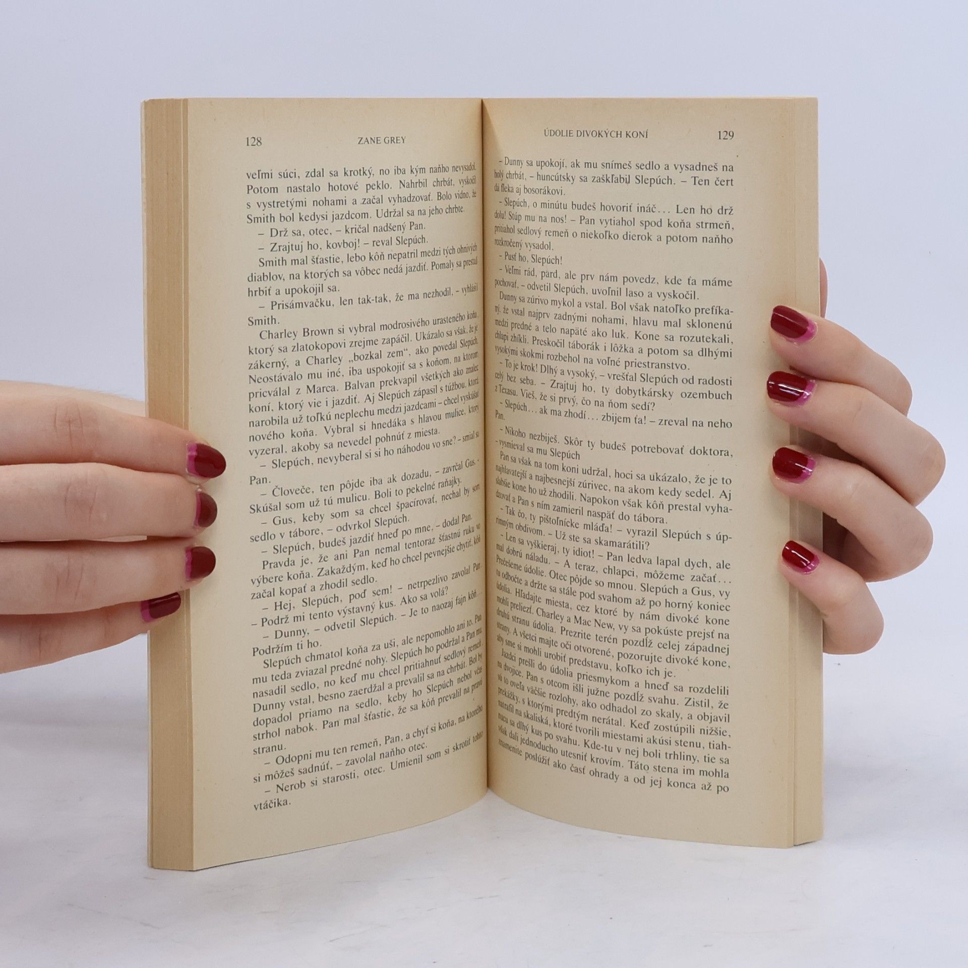 Zane Grey Údolie divokých koní