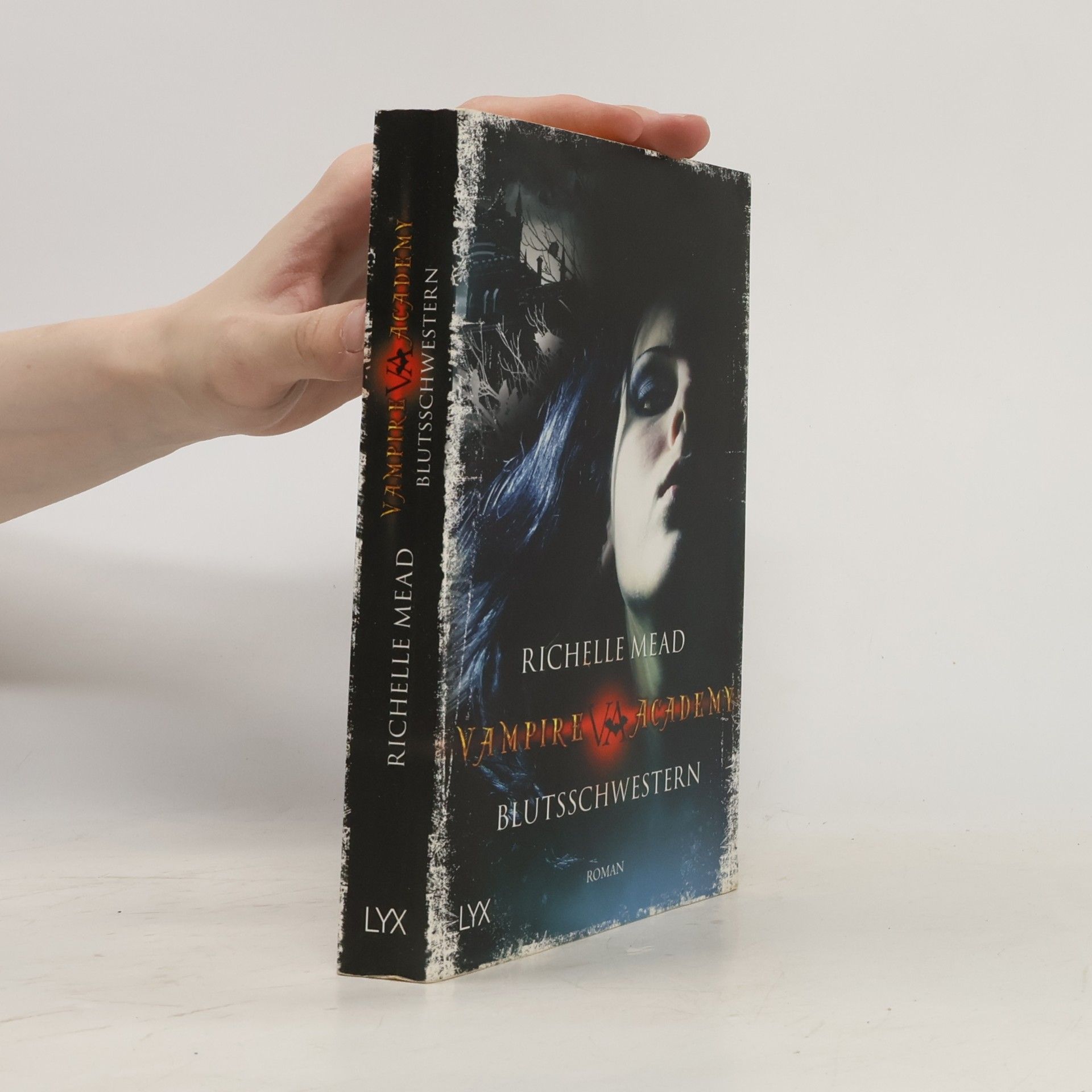Richelle Mead Vampire Academy