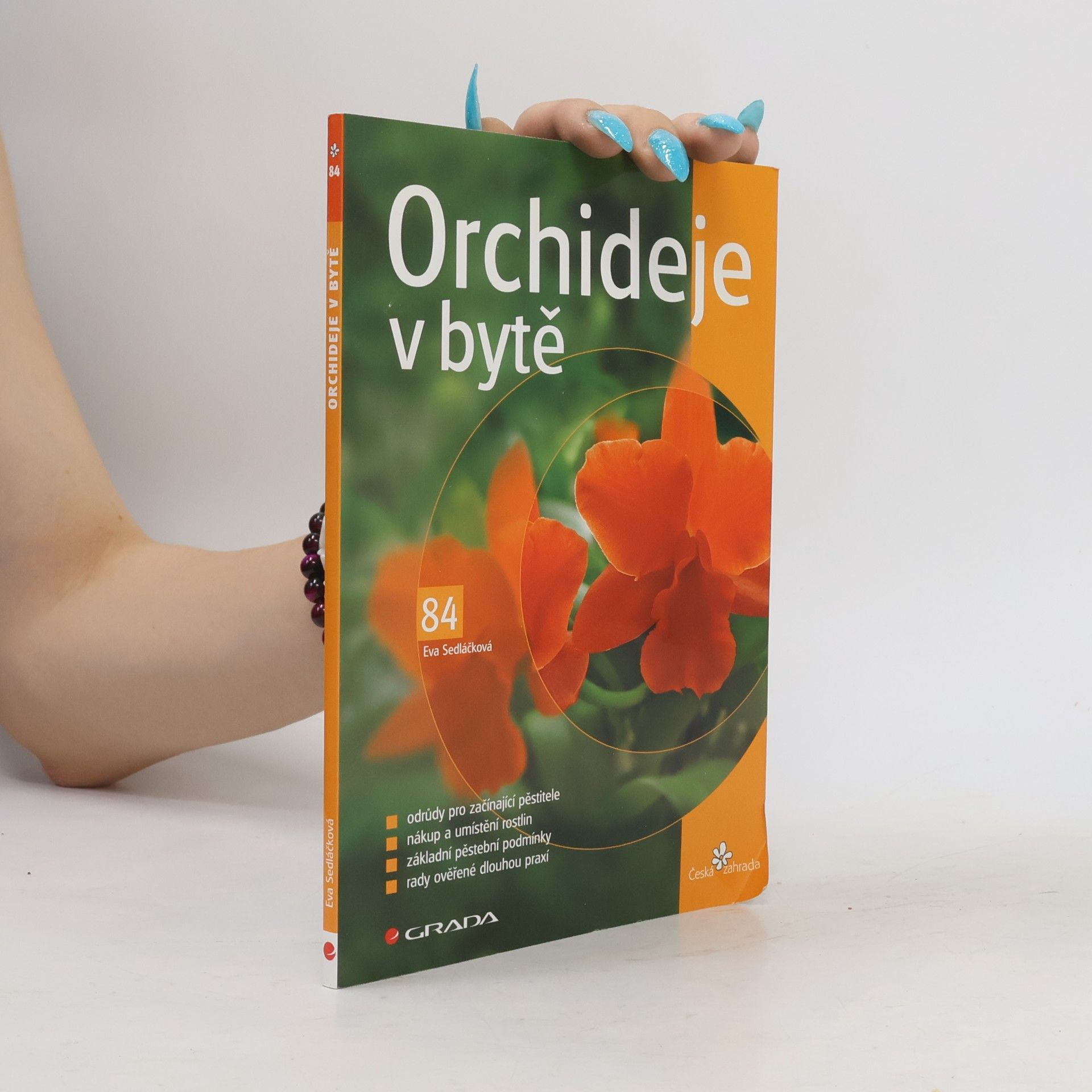 Eva Sedláčková Orchideje v bytě