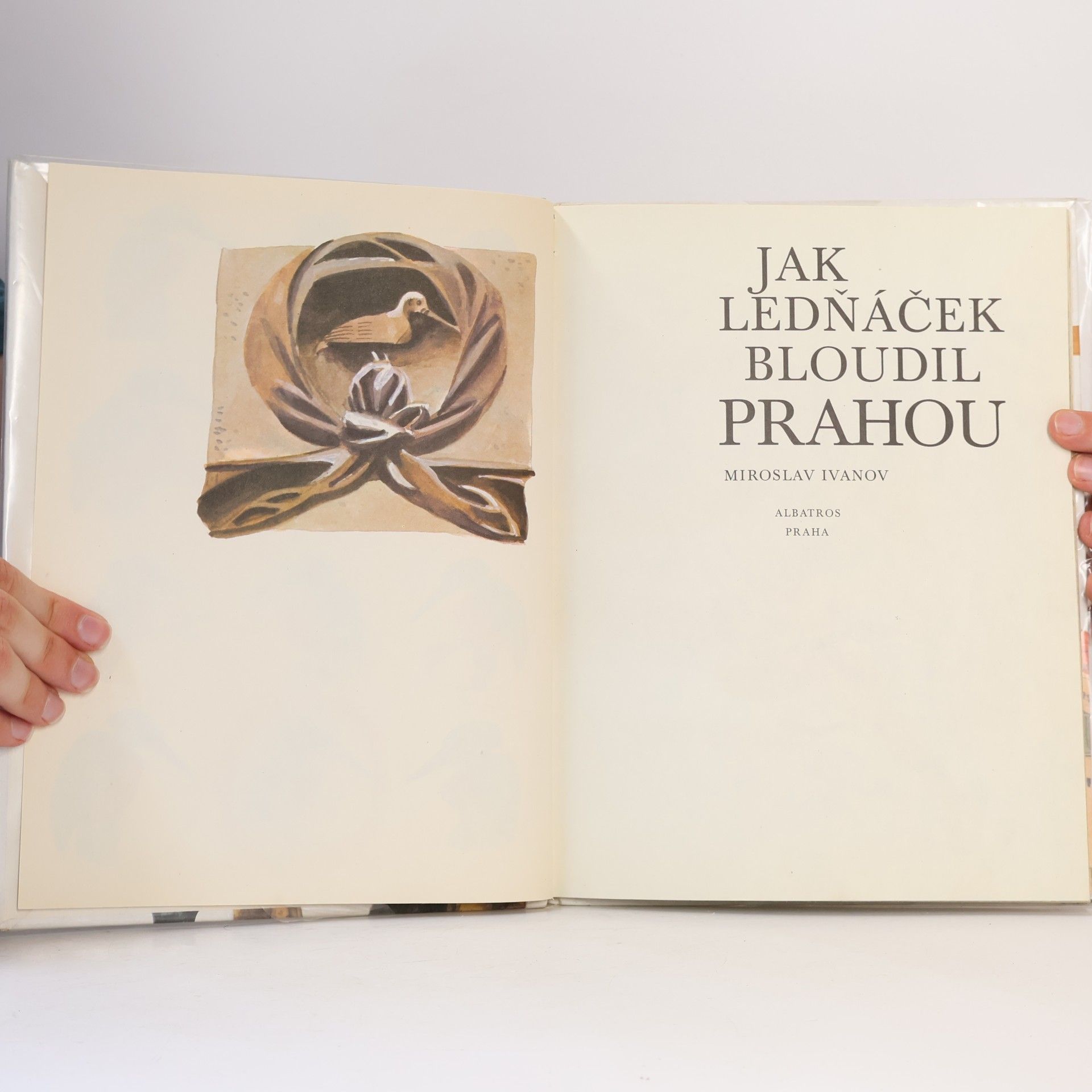 Miroslav Ivanov Jak ledňáček bloudil Prahou