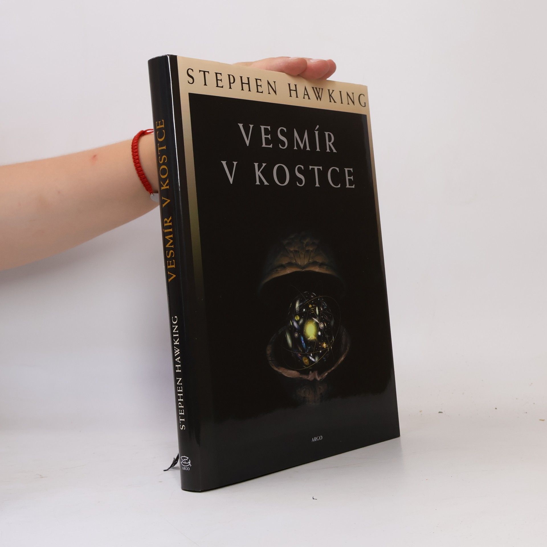 Stephen Hawking Vesmír v kostce