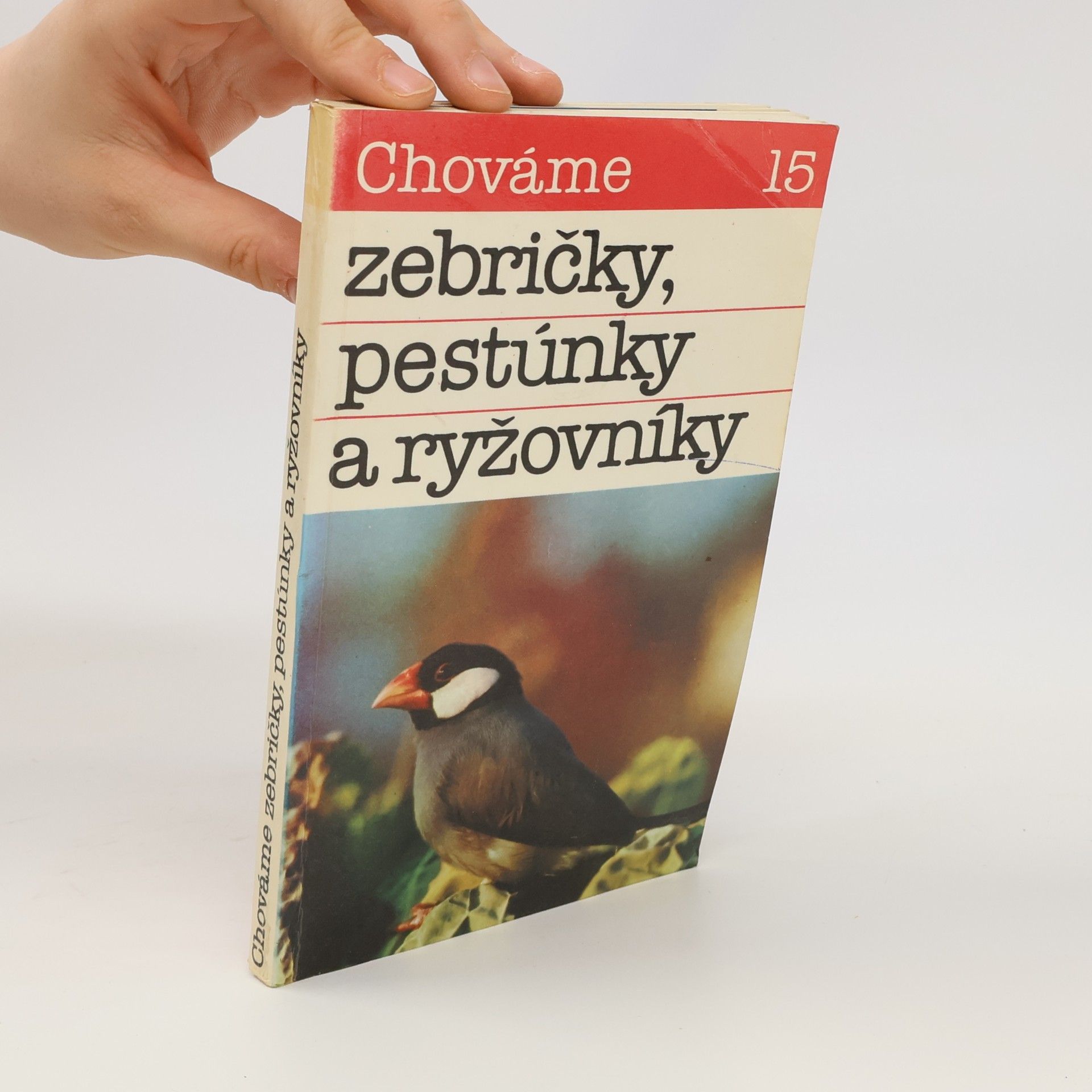 Autorenkollektiv Chováme zebričky, pestúnky a ryžovníky 15