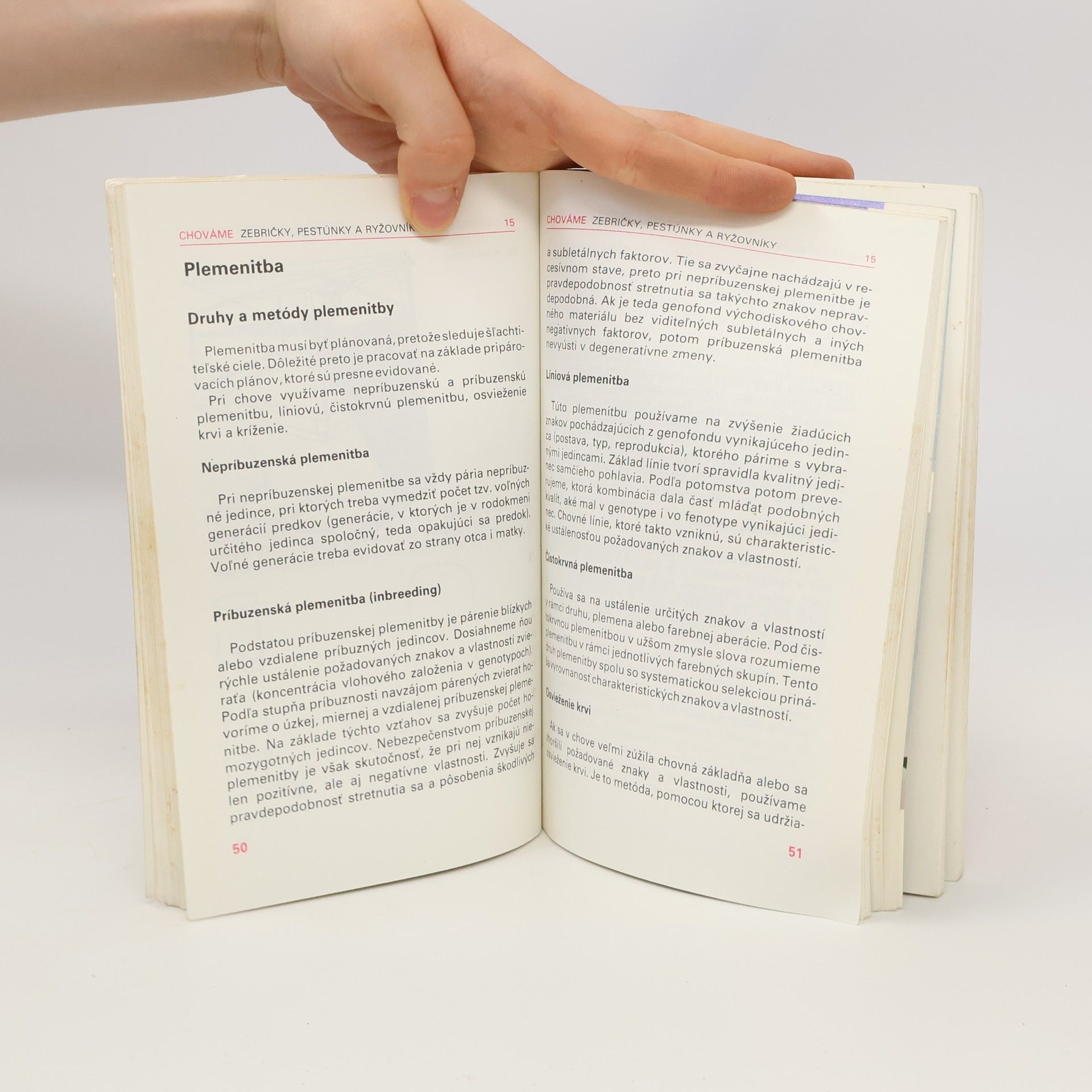 Autorenkollektiv Chováme zebričky, pestúnky a ryžovníky 15
