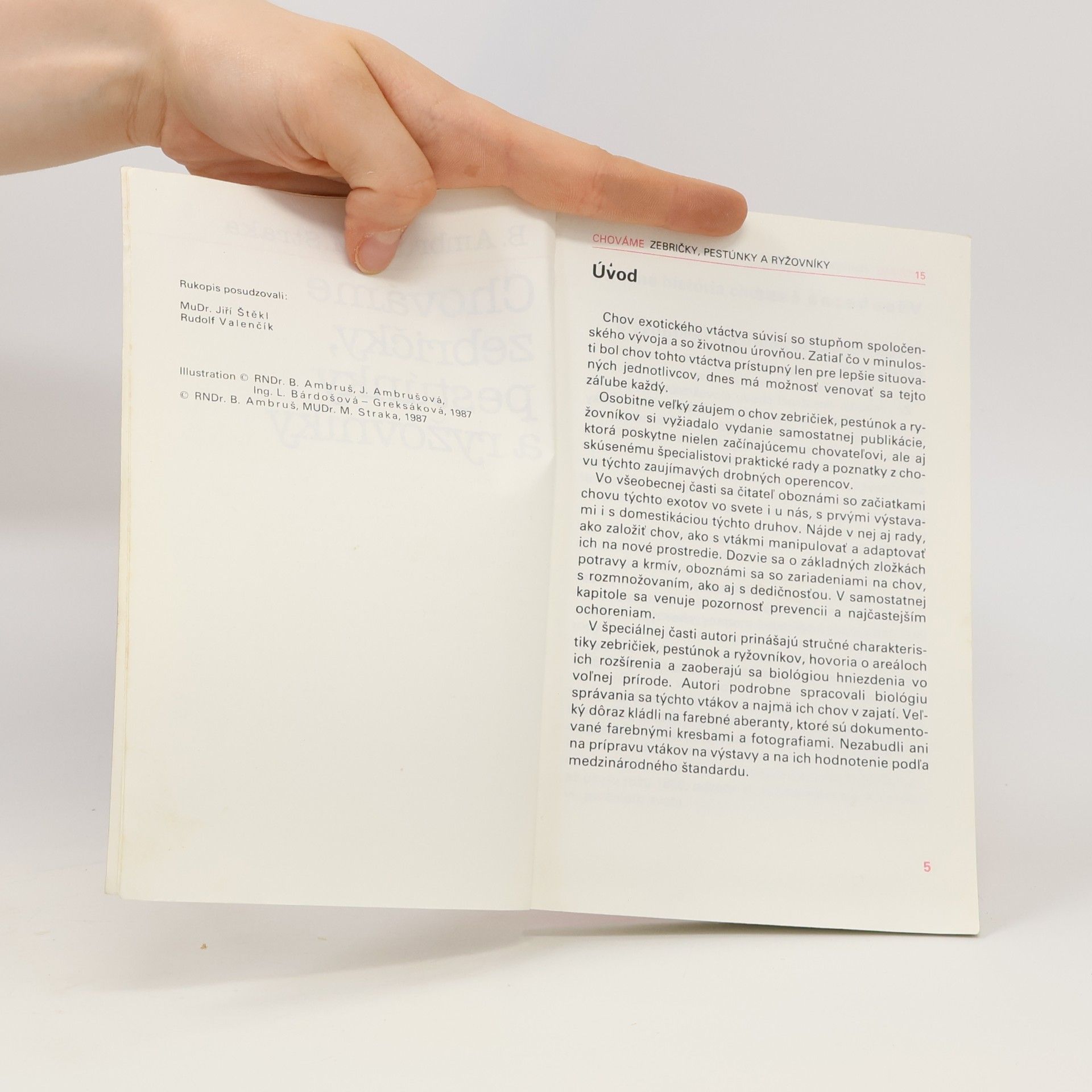 Autorenkollektiv Chováme zebričky, pestúnky a ryžovníky 15