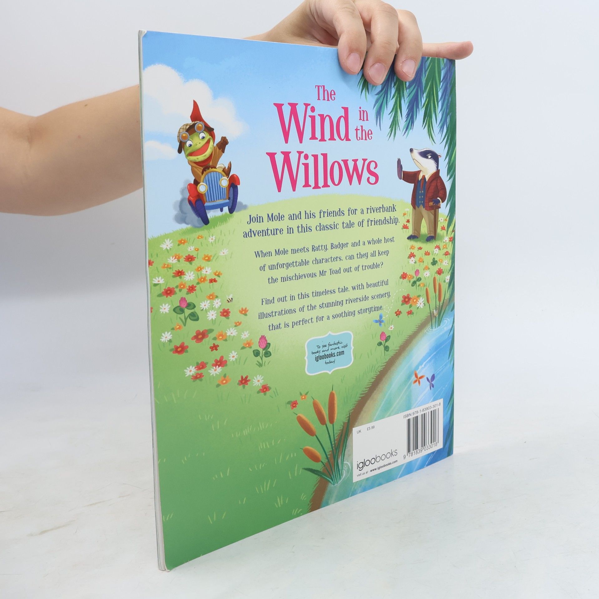 Lisa Mullarkey The Wind in the Willows
