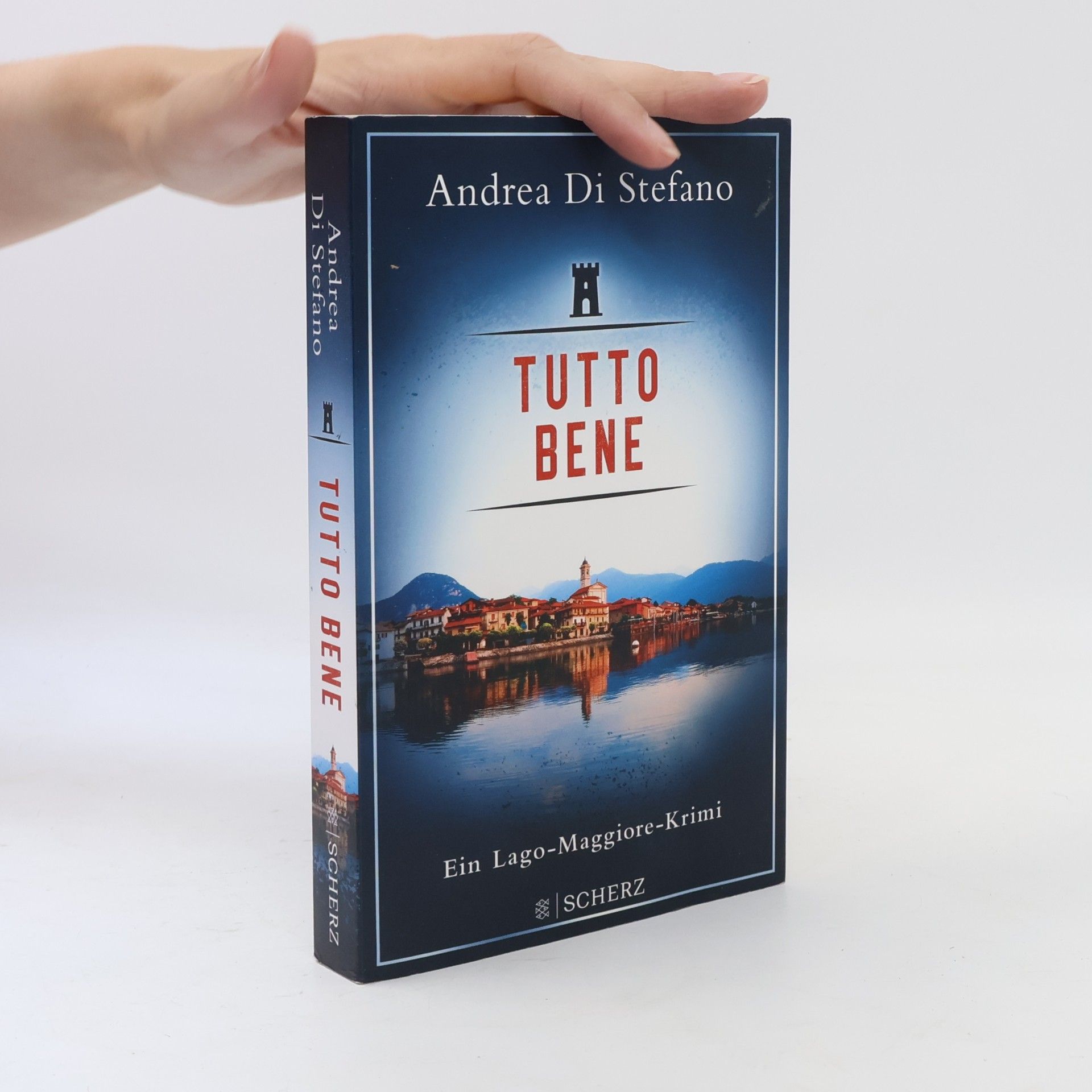 Andrea Di Stefano Tutto Bene - Ein Lago-Maggiore-Krimi