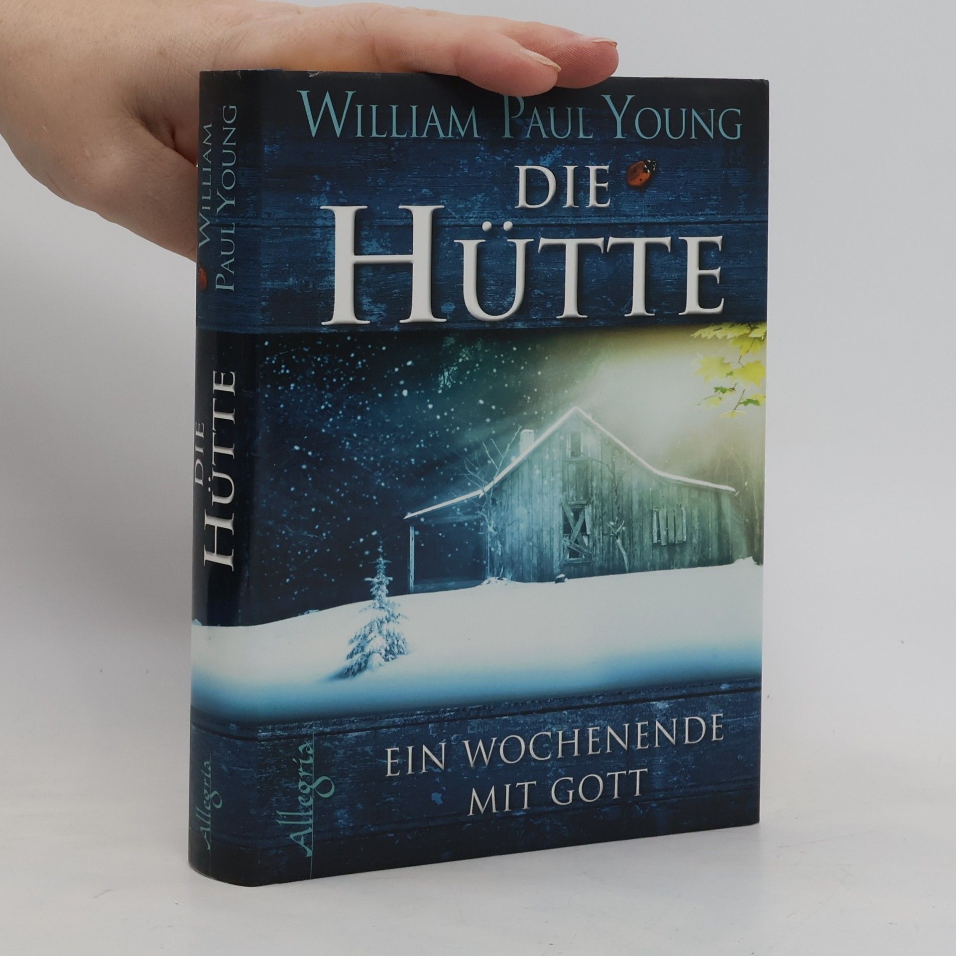 William Paul Young Die Hütte