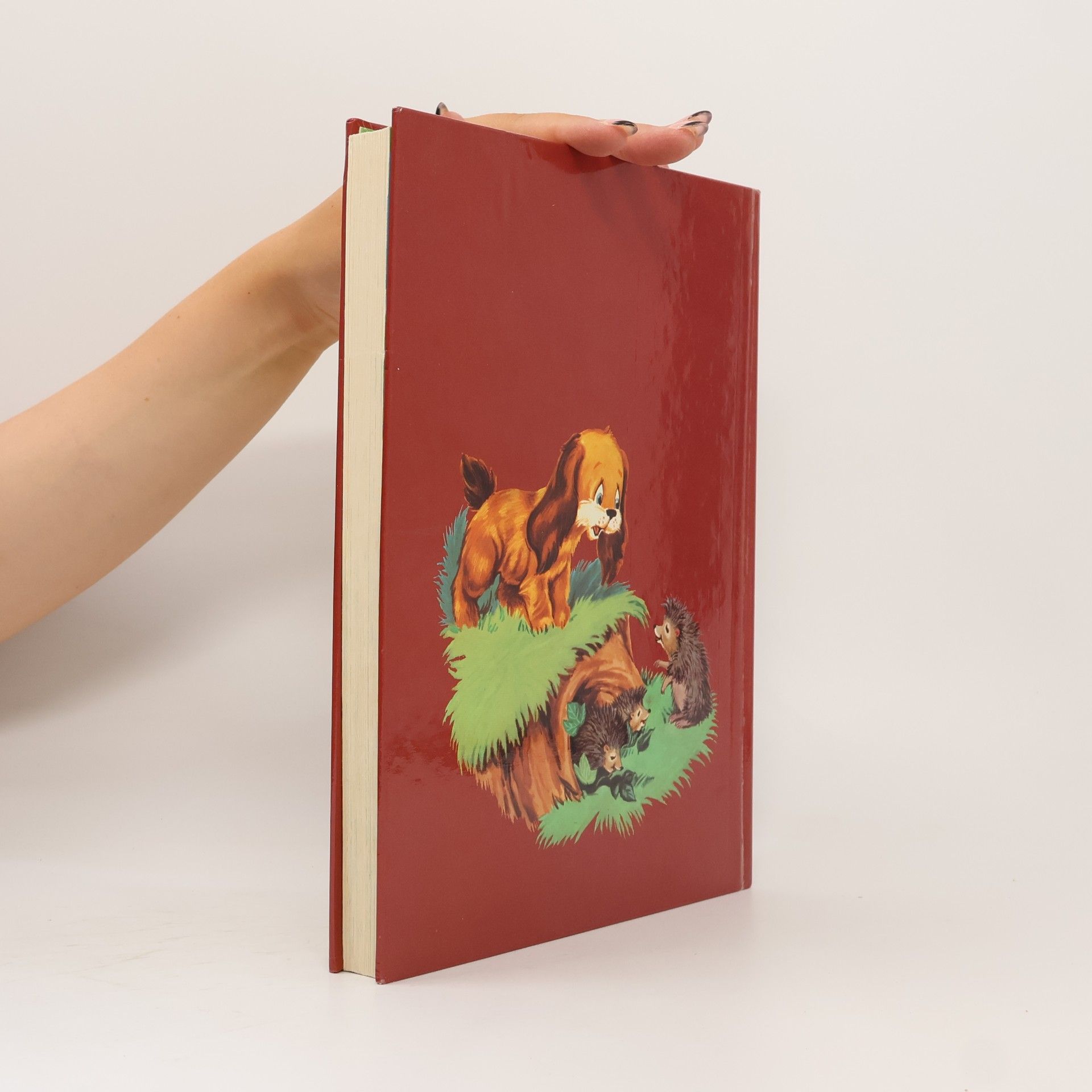 Autorenkollektiv 99+1 Kunterbunte Tiergeschichten