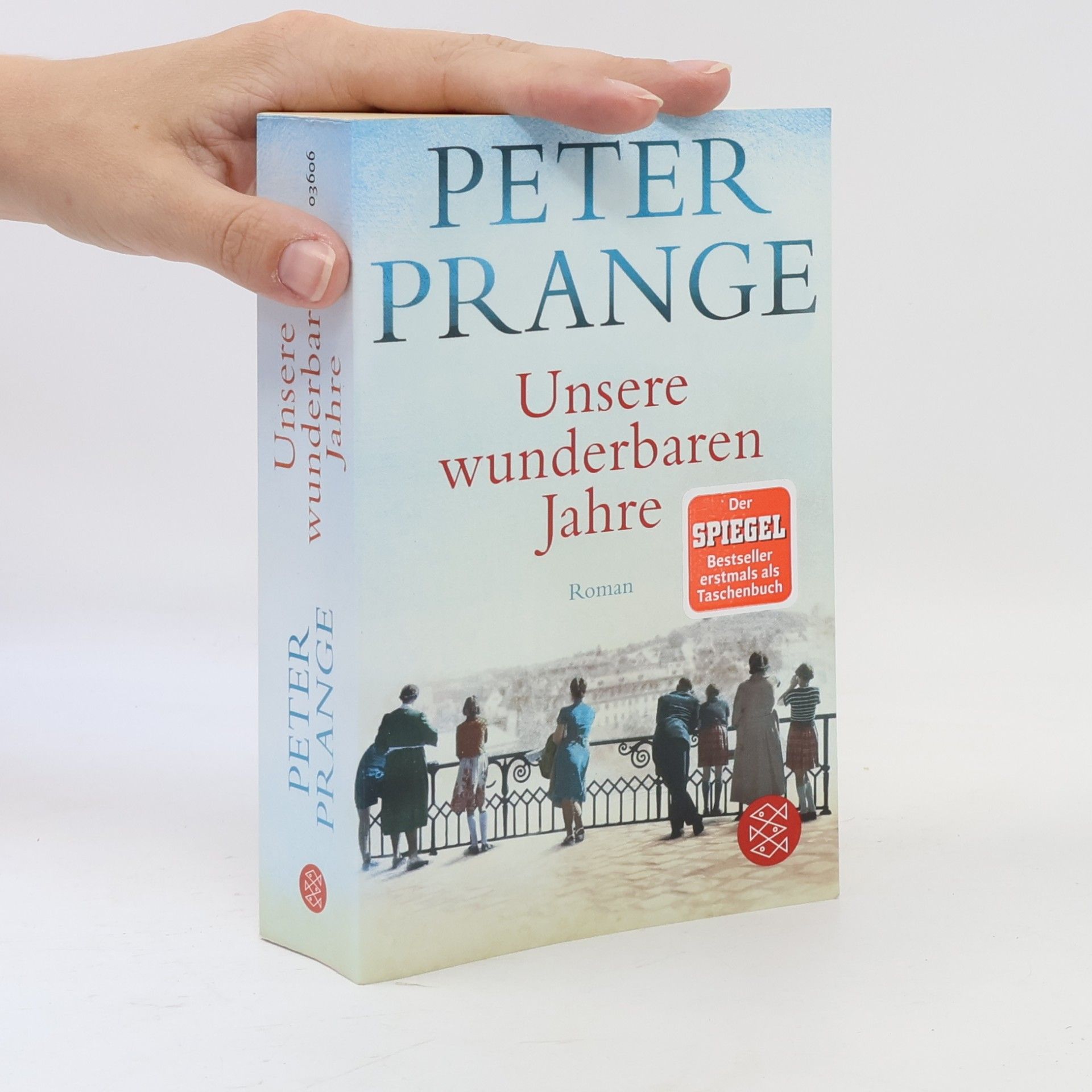 Peter Prange Unsere wunderbaren Jahre