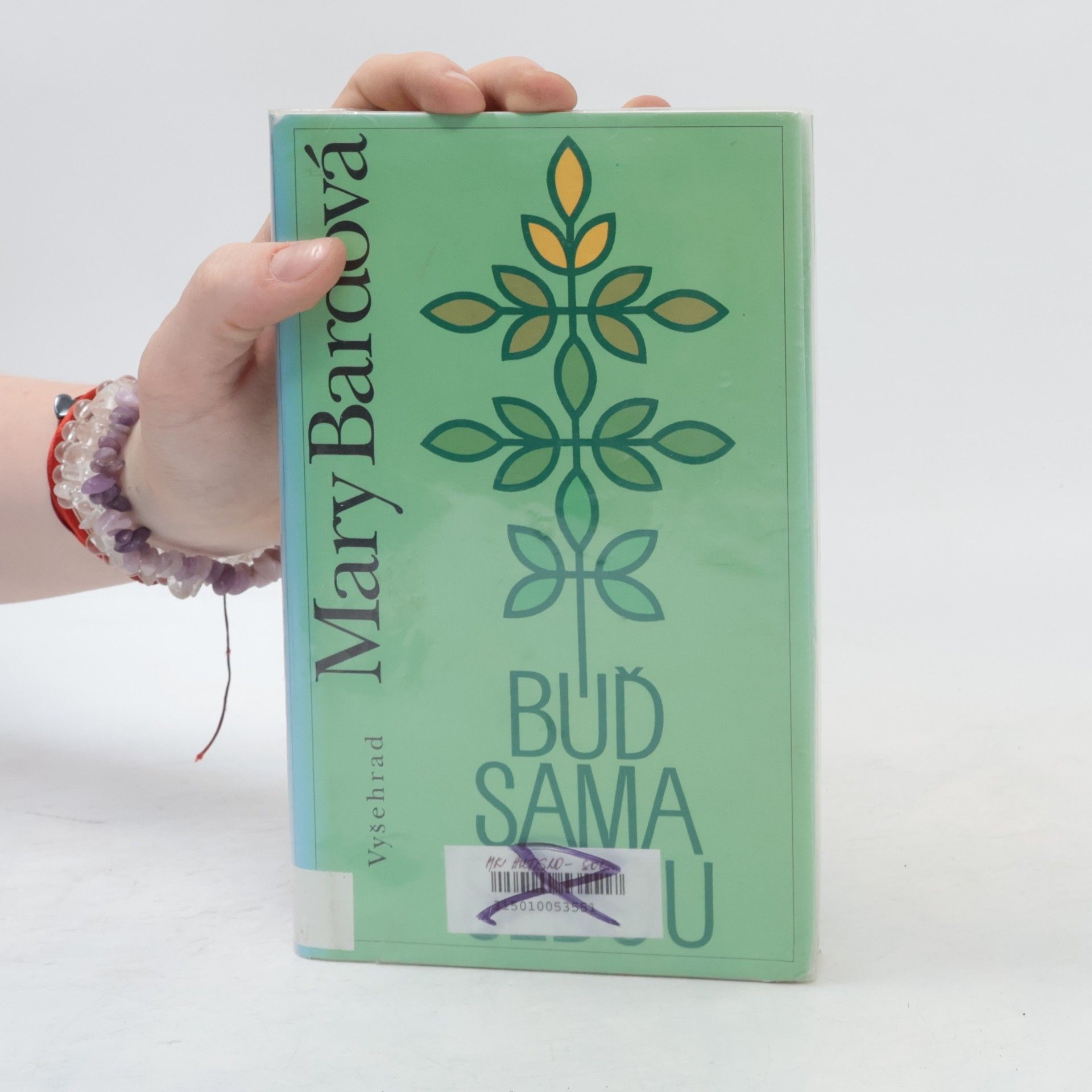 Mary Bard Buď sama sebou
