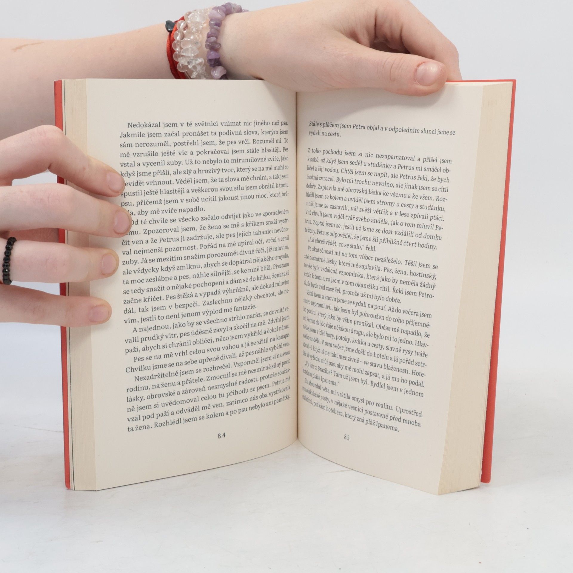 Paulo Coelho Poutník : mágův deník