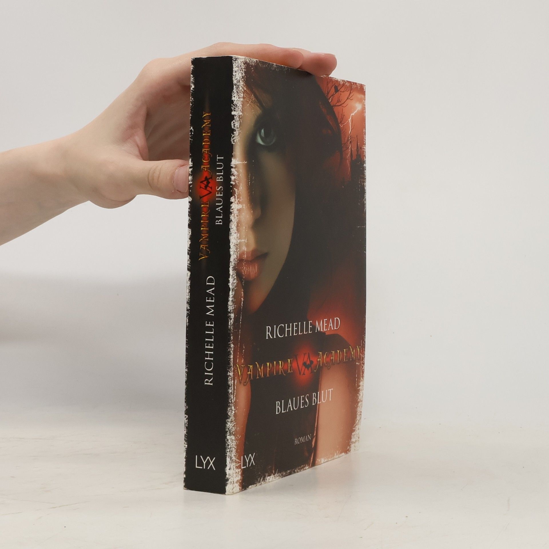 Richelle Mead Vampire Academy. Blaues Blut
