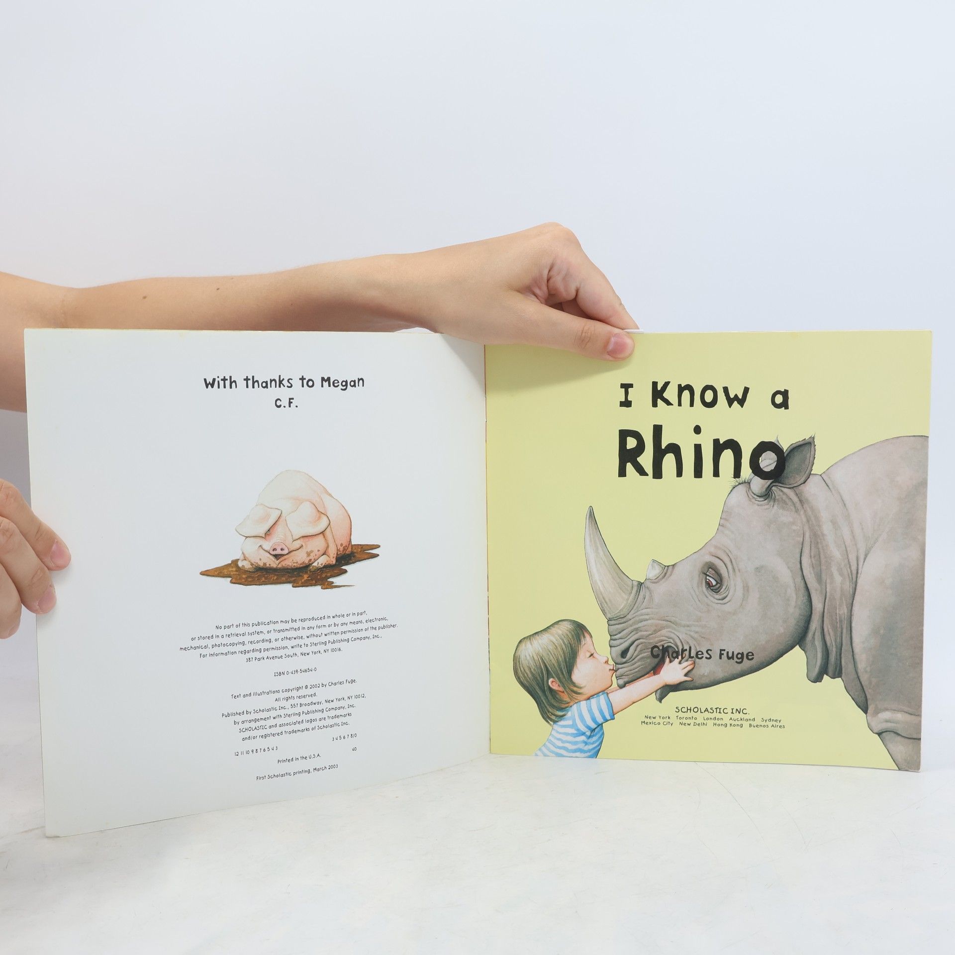 Charles Fuge I Know a Rhino