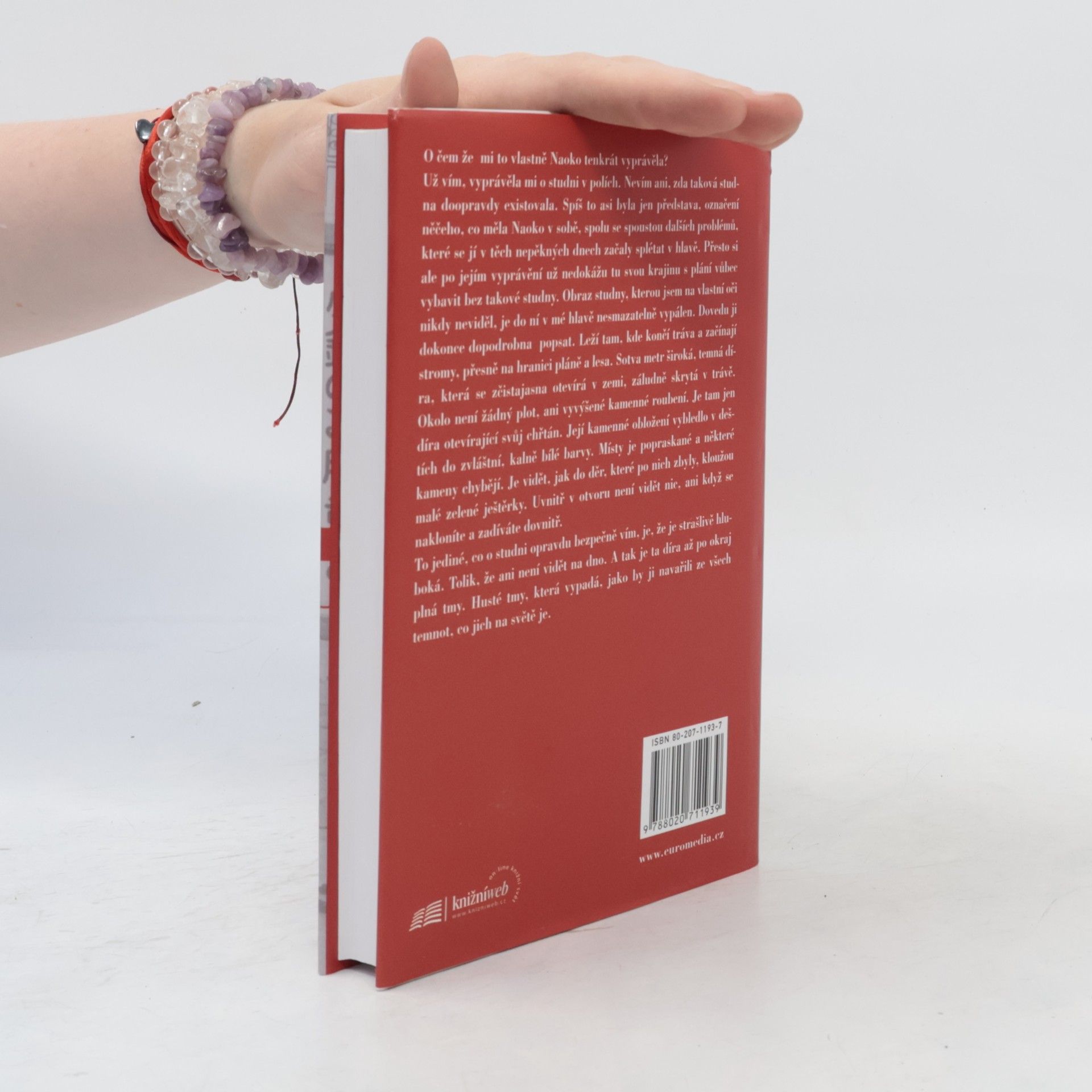 Haruki Murakami Norské dřevo