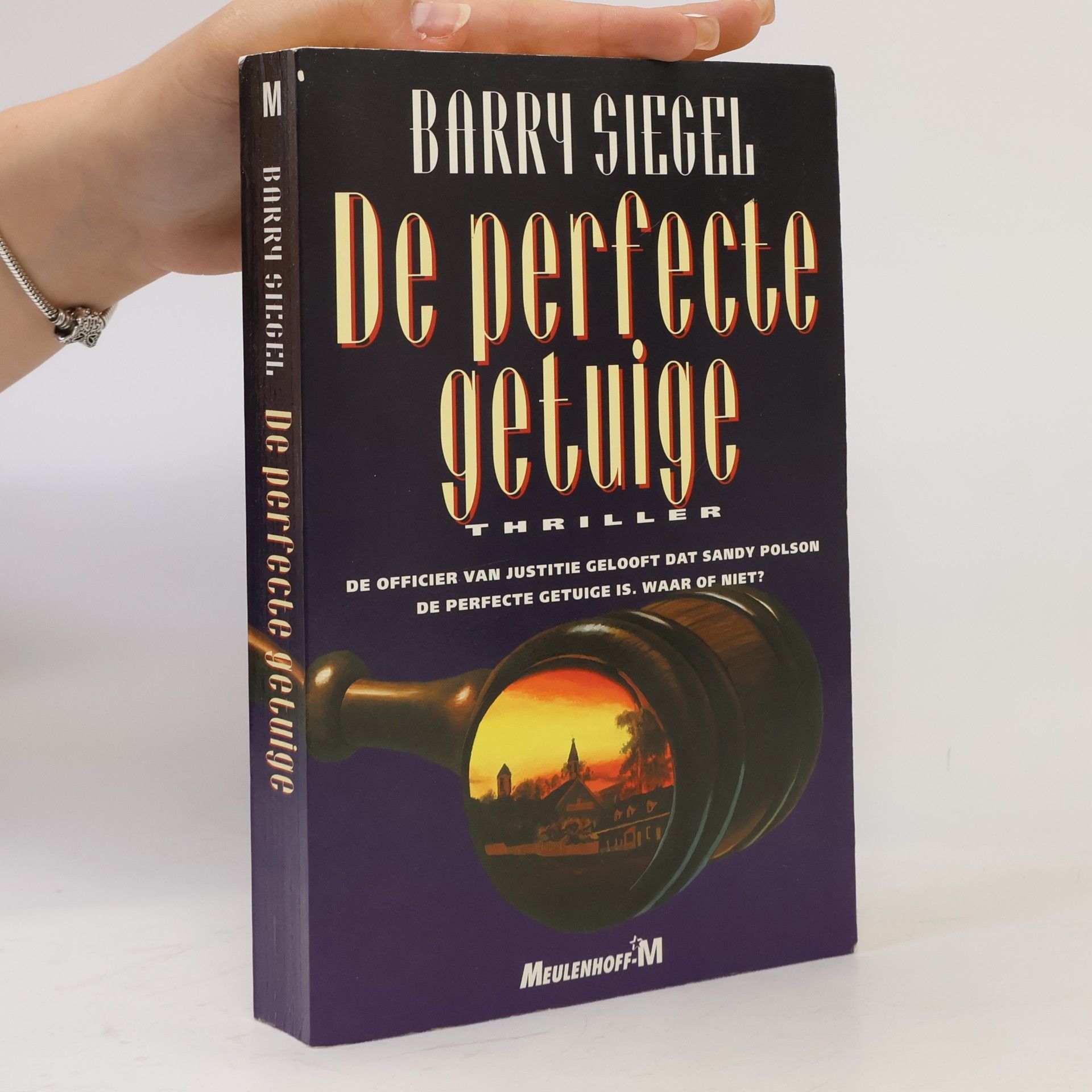 Tom van Son Perfecte getuige