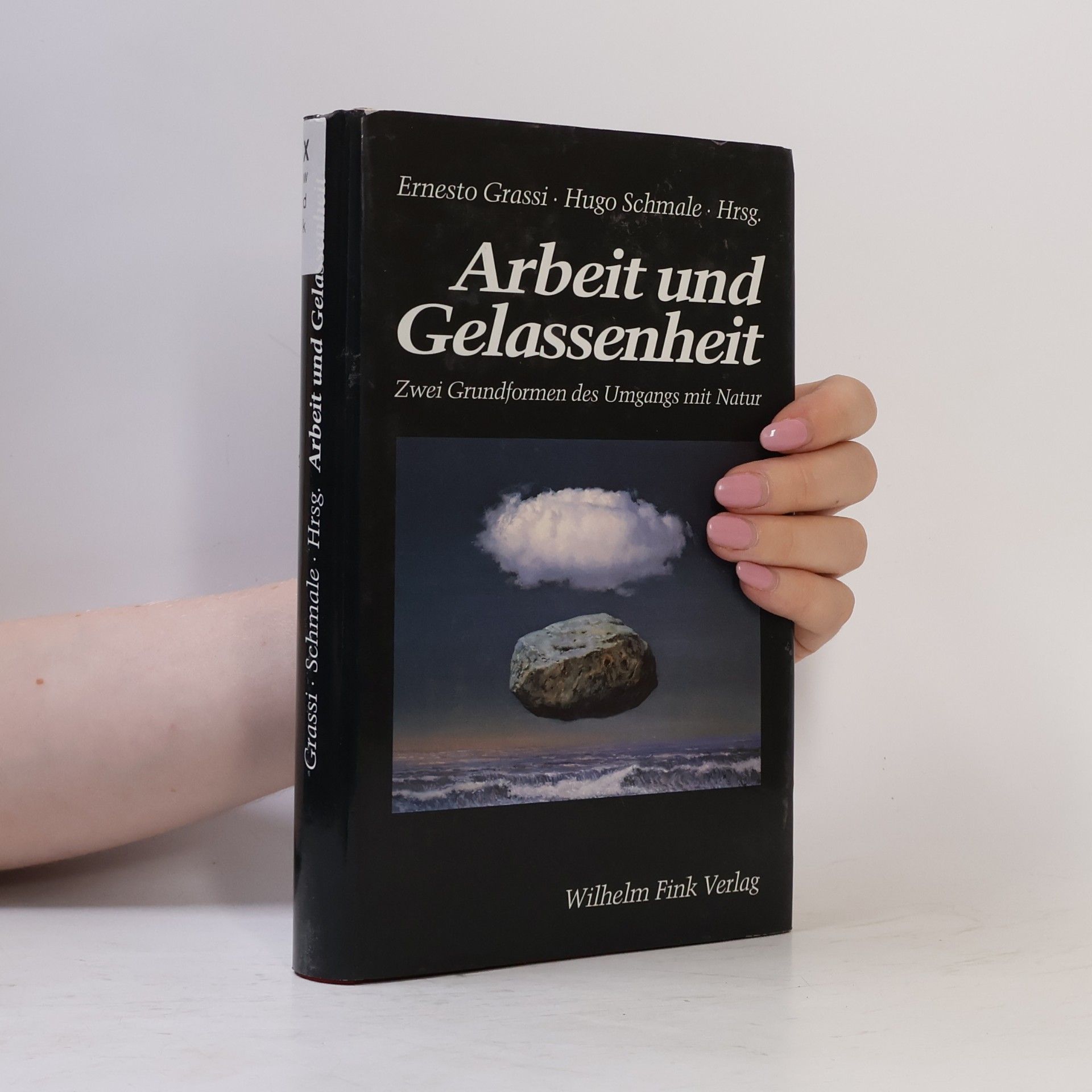 Hugo Schmale Zürcher Gespräche - 3: Arbeit und Gelassenheit