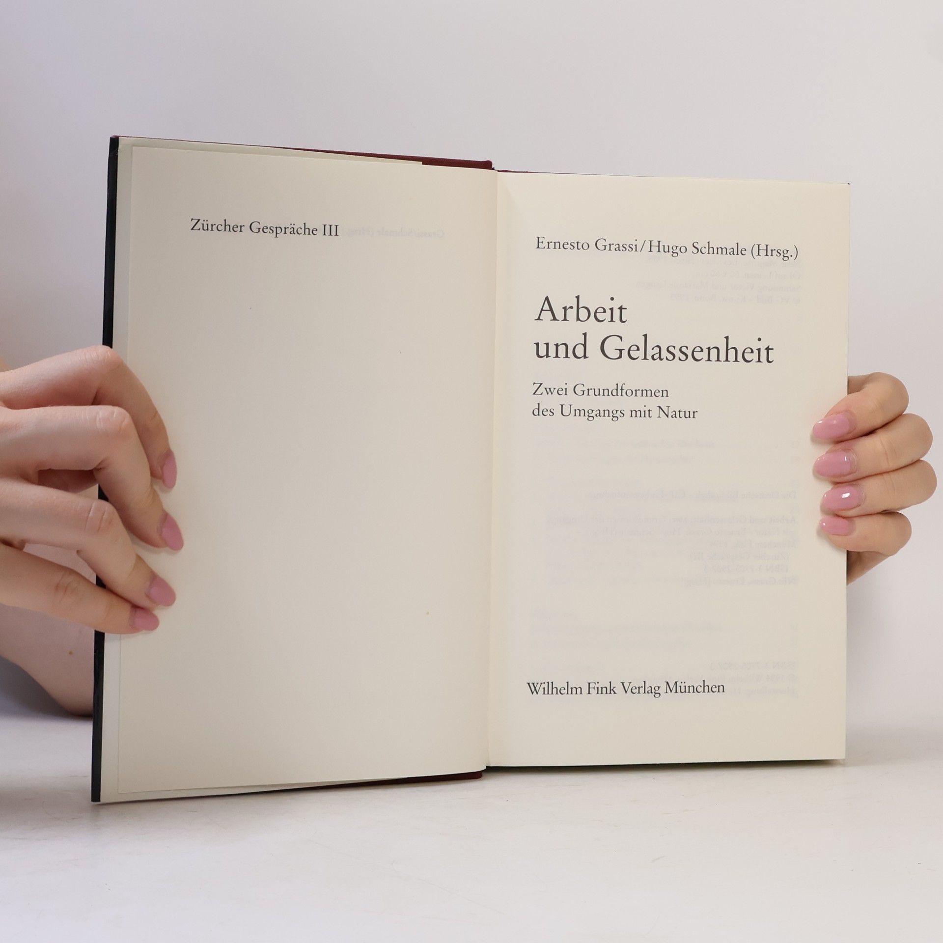 Ernesto Grassi Zürcher Gespräche - 3: Arbeit und Gelassenheit