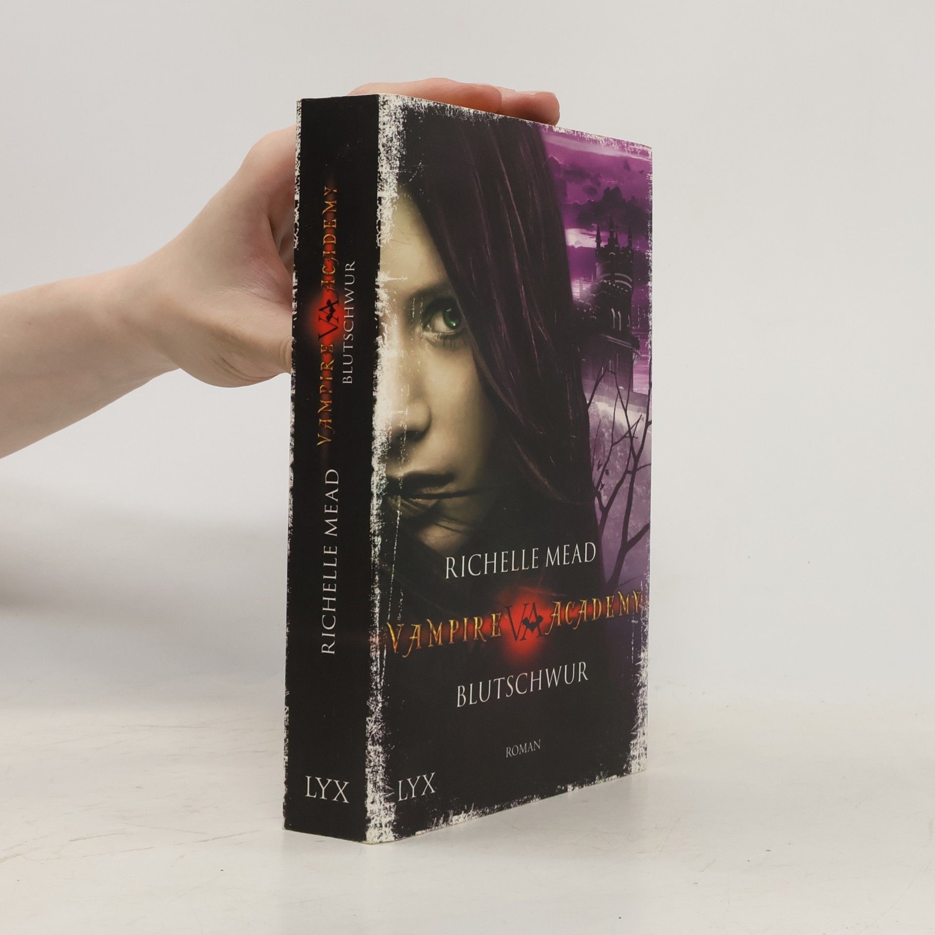 Richelle Mead Vampire Academy. Blutschwur