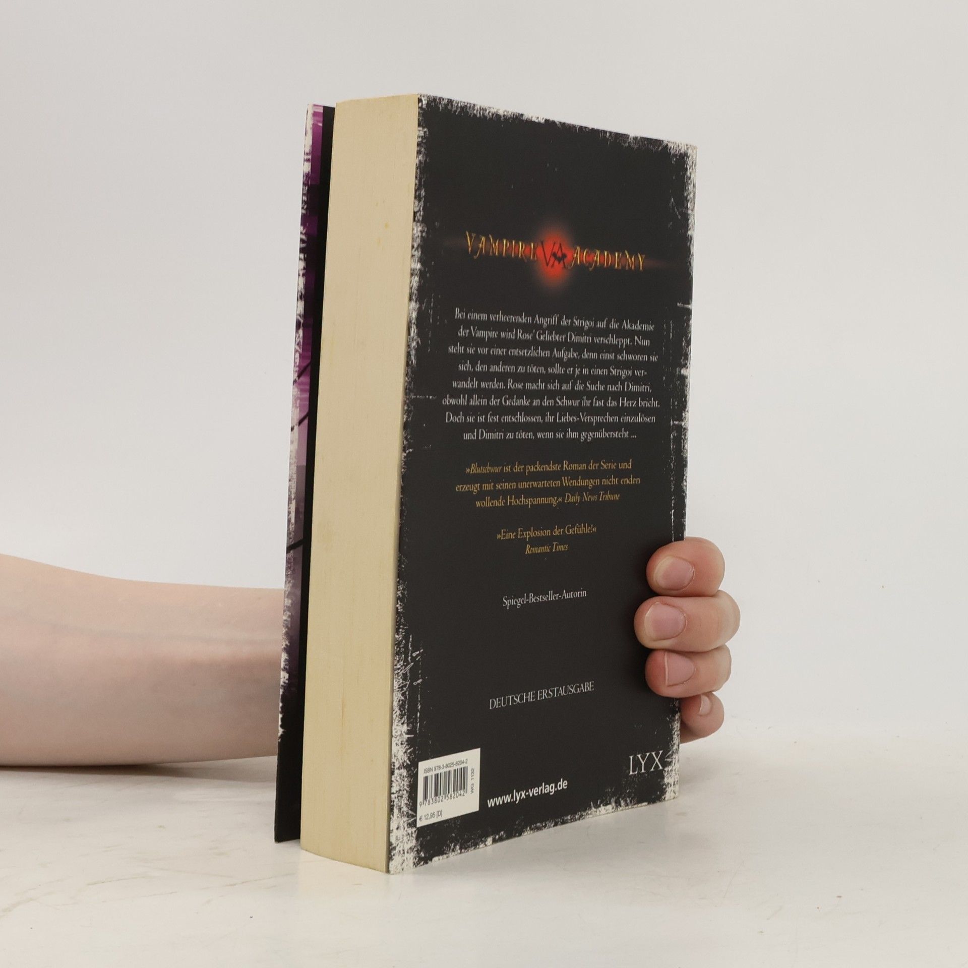 Richelle Mead Vampire Academy. Blutschwur