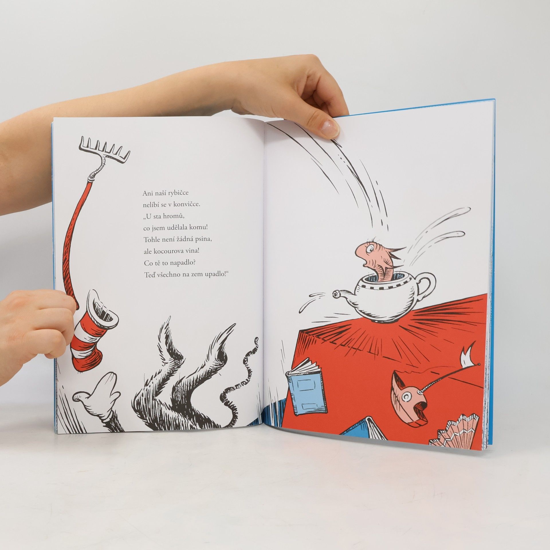 Dr. Seuss Kocour v klobouku