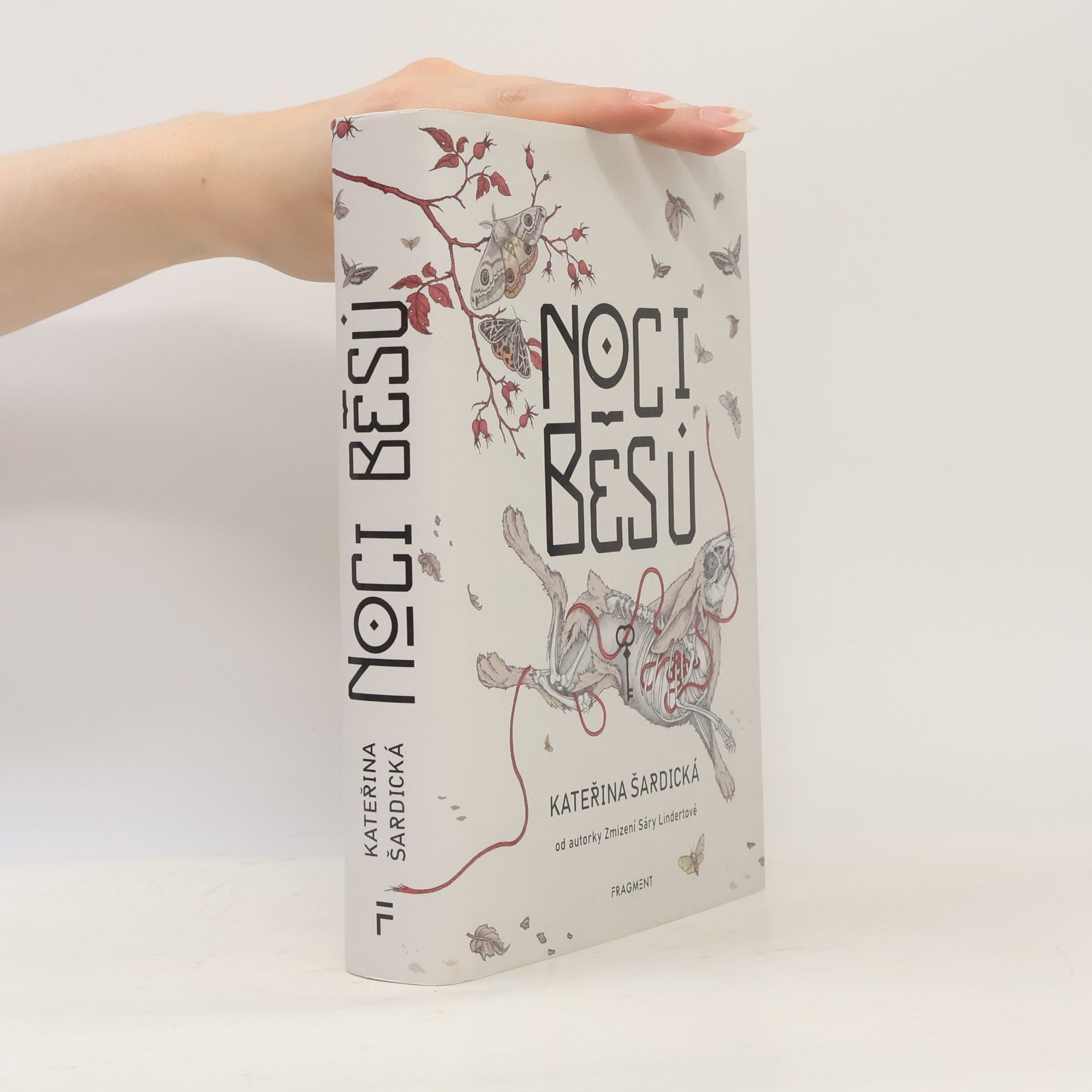 Kateřina Šardická Noci běsů