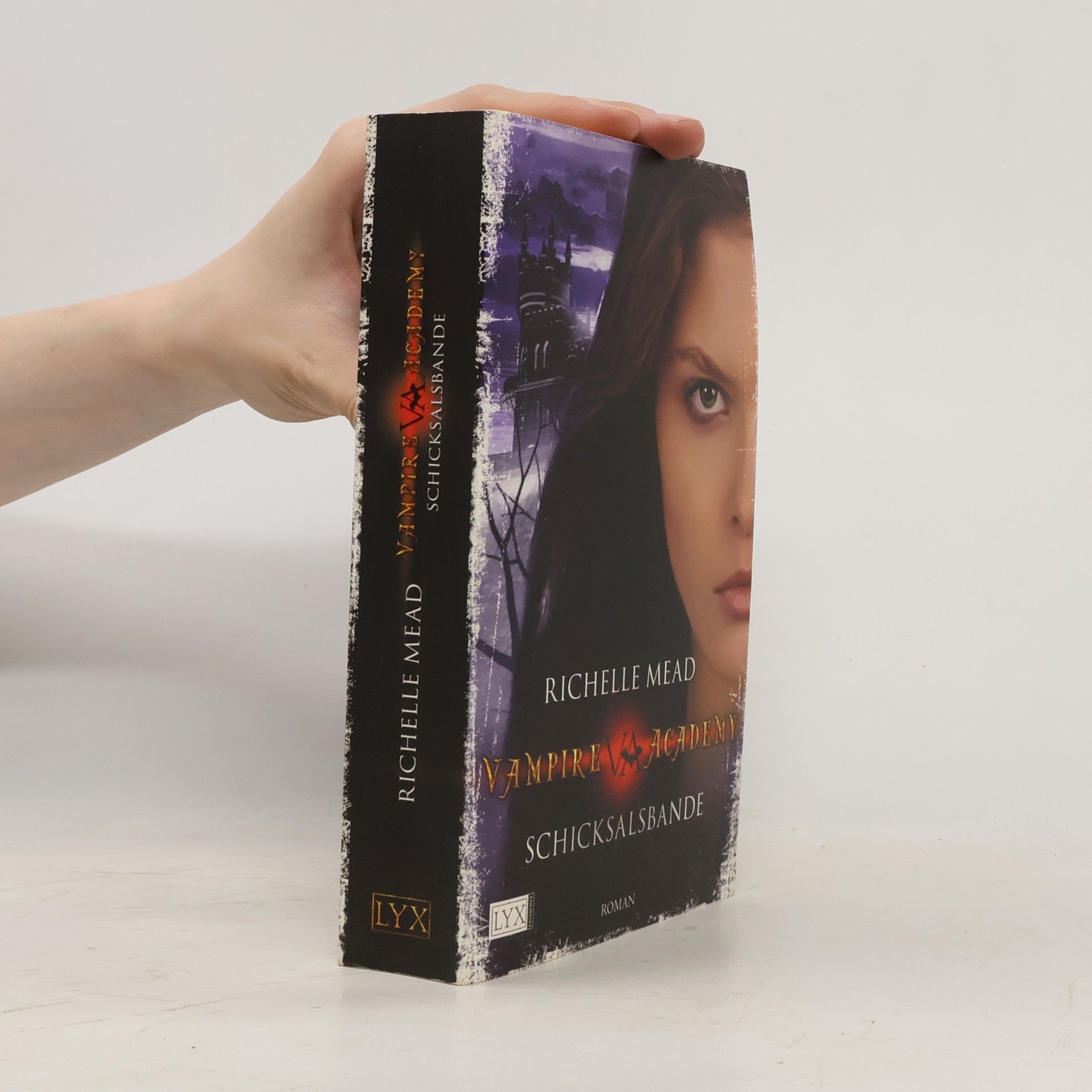 Richelle Mead Vampire Academy. Schicksalbande