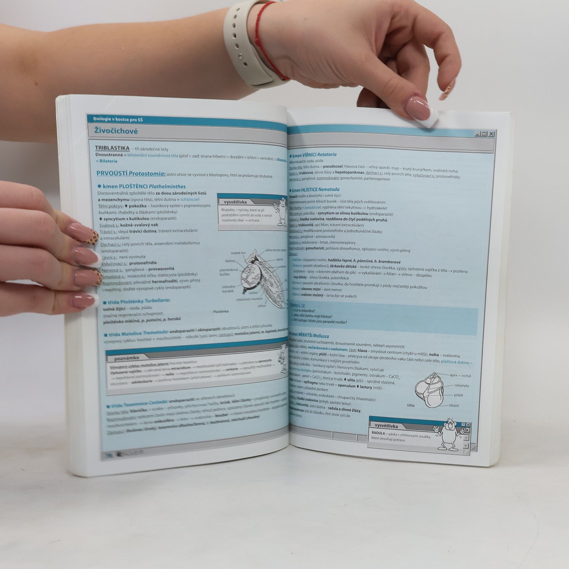 Hana Hančová Biologie v kostce : pro střední školy