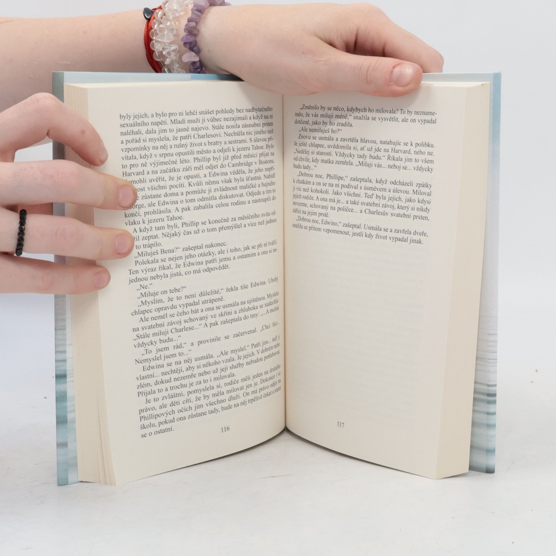 Danielle Steel Nevýslovná láska