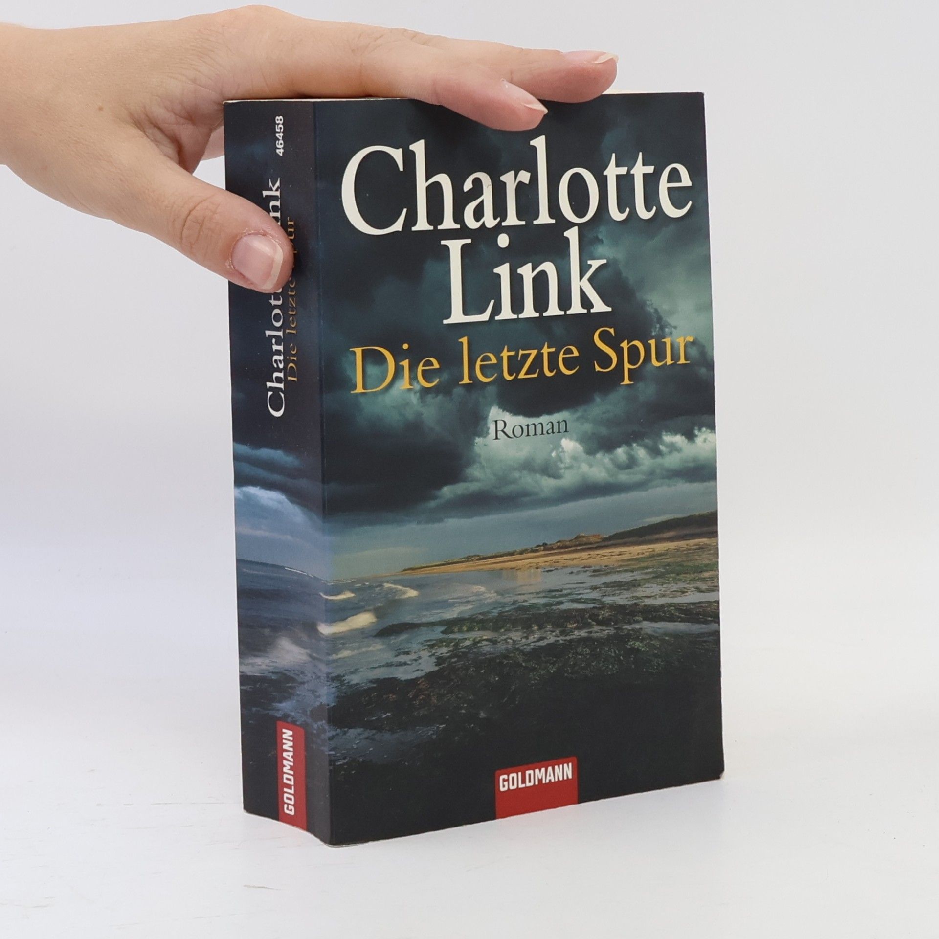 Charlotte Link Die letzte Spur