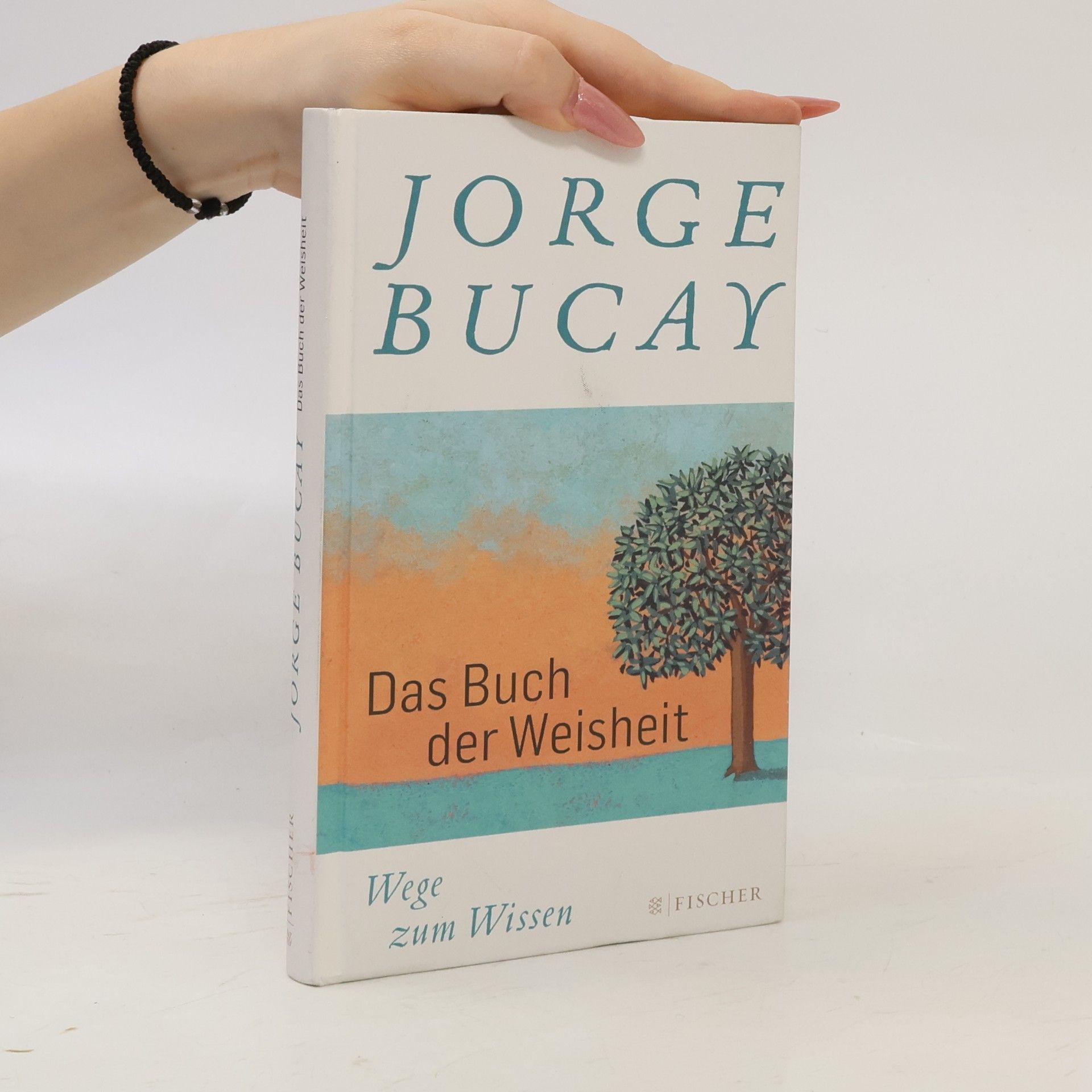 Jorge Bucay Das Buch der Weisheit