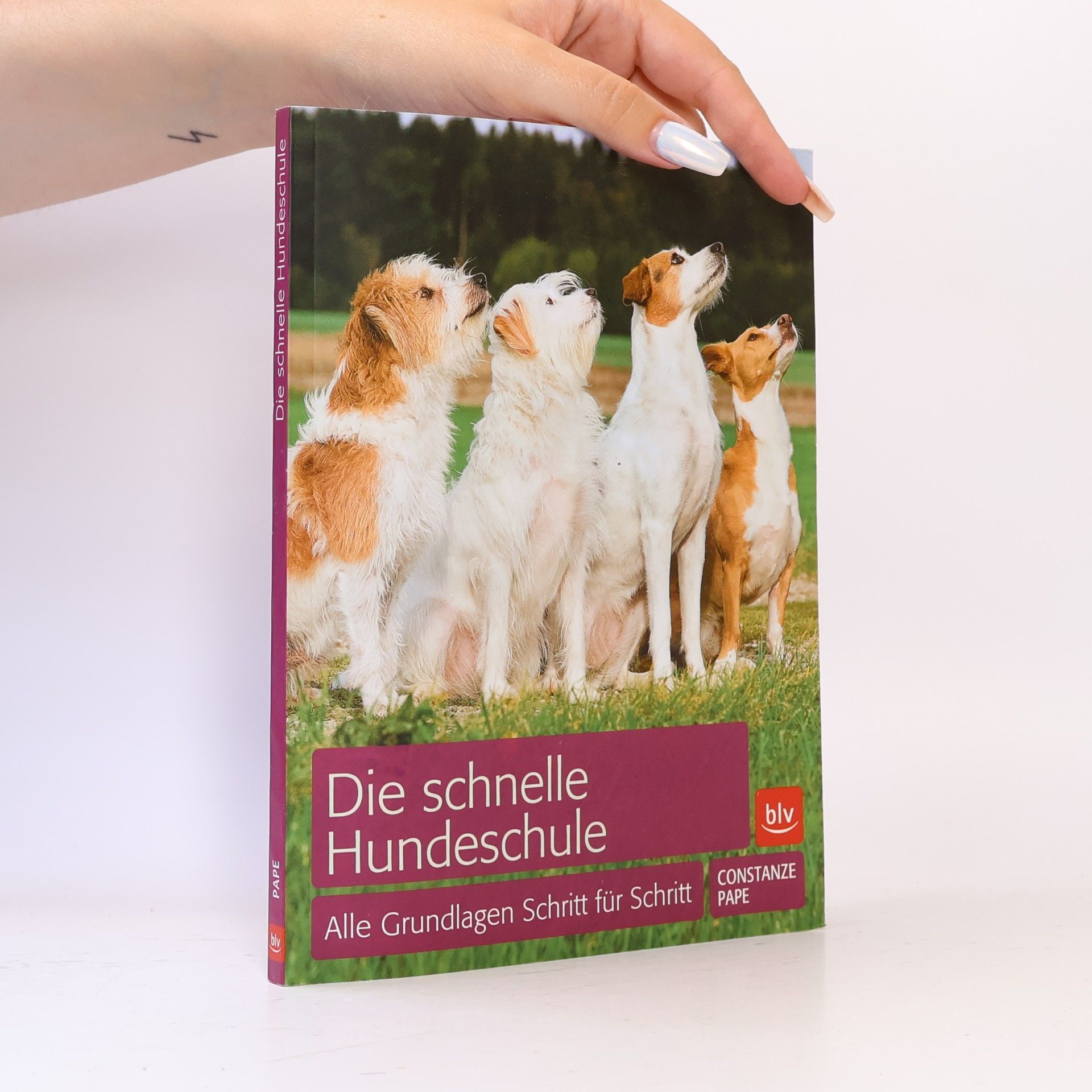 Constanze Pape Die schnelle Hundeschule