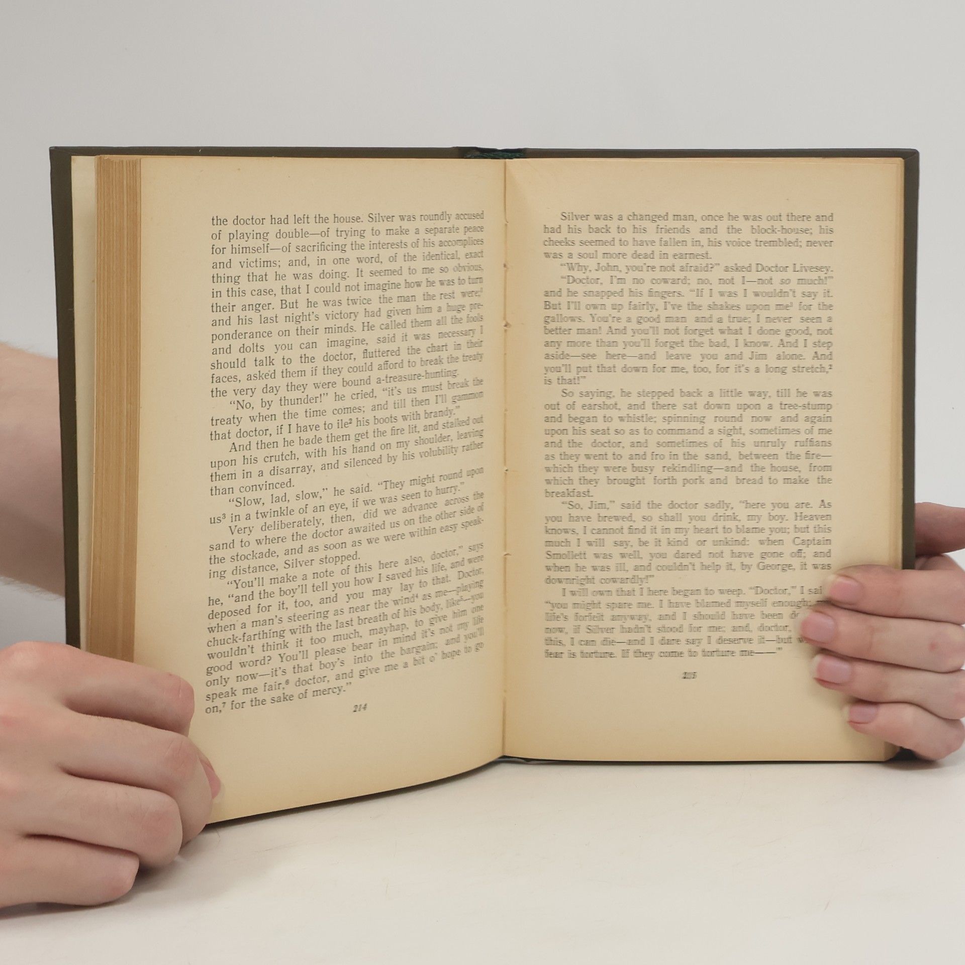 Robert Louis Stevenson Treasure Island