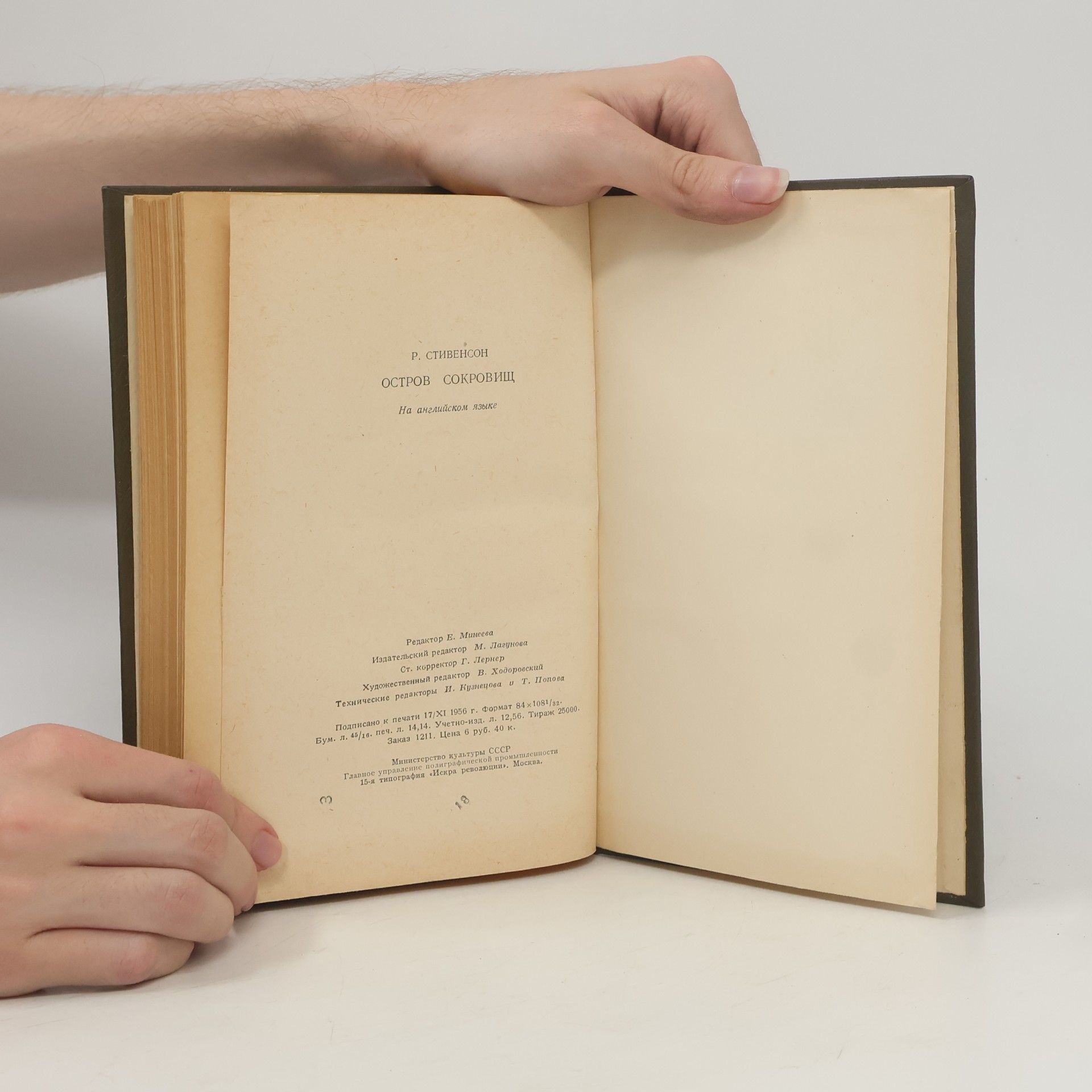 Robert Louis Stevenson Treasure Island