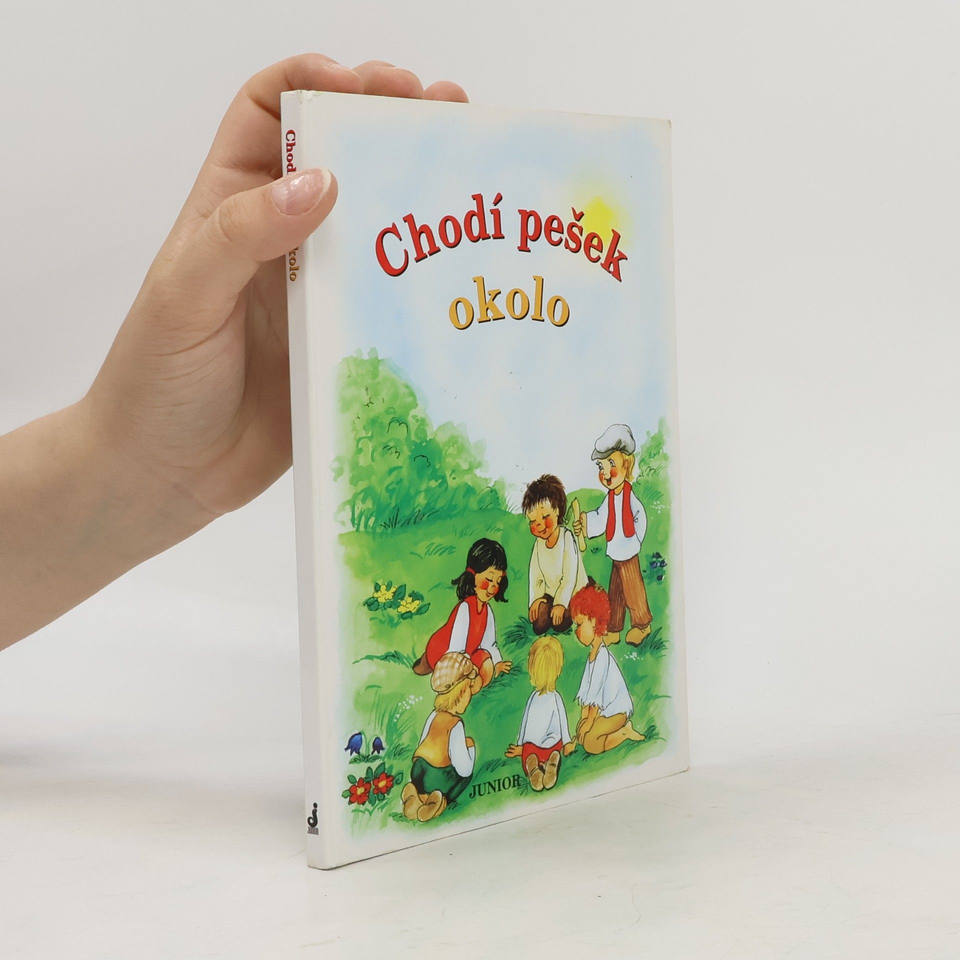 Vladimíra Vopičková Chodí pešek okolo (leporelo)
