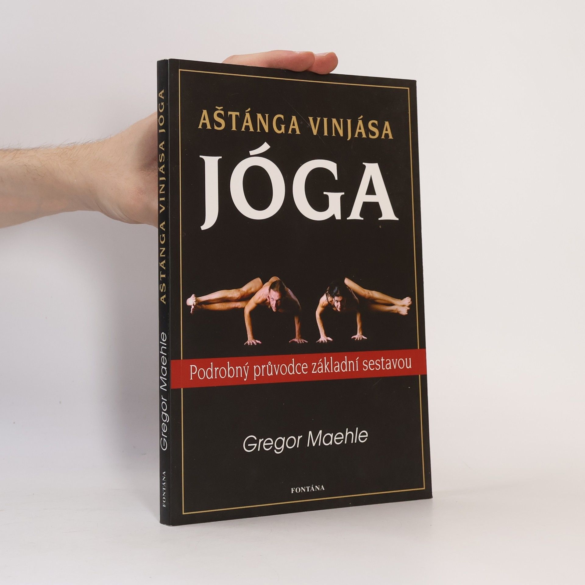 Gregor Maehle Aštánga vinjása jóga