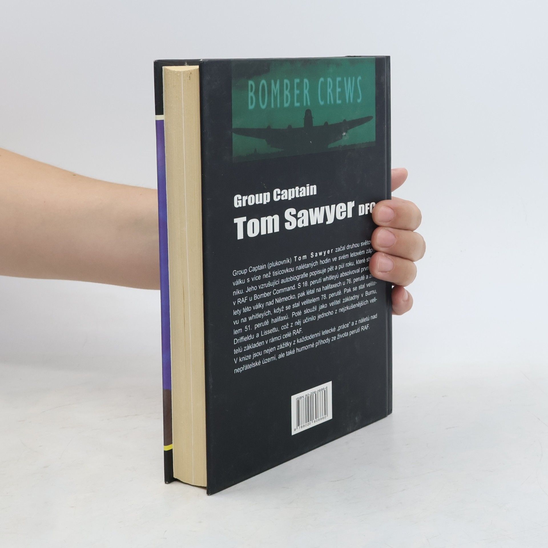 Tom Sawyer Jenom sovy a zatracení blázni létají v noci