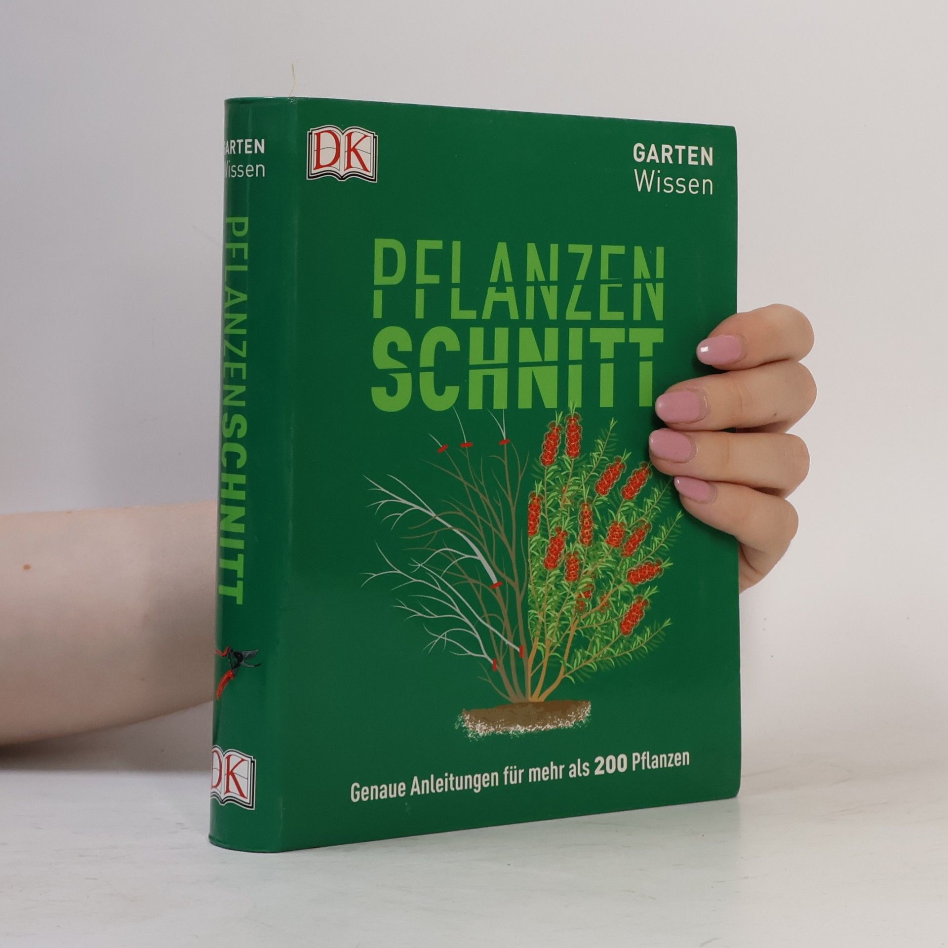 Andrew Mikolajski Pflanzenschnitt