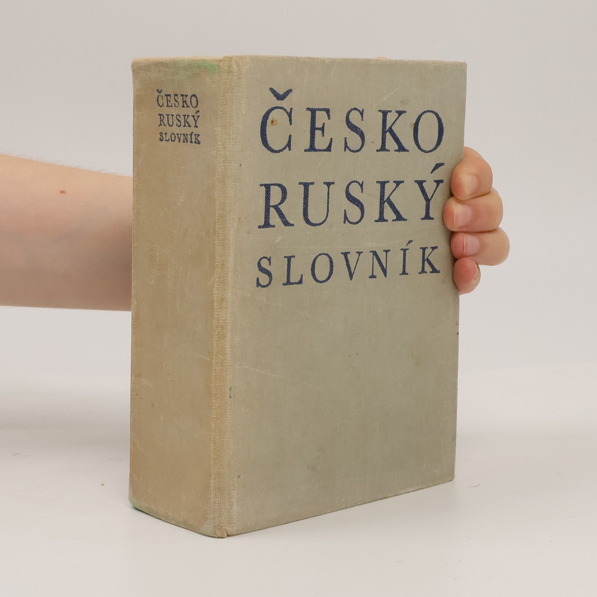 Collectif d'auteurs Česko-ruský slovník