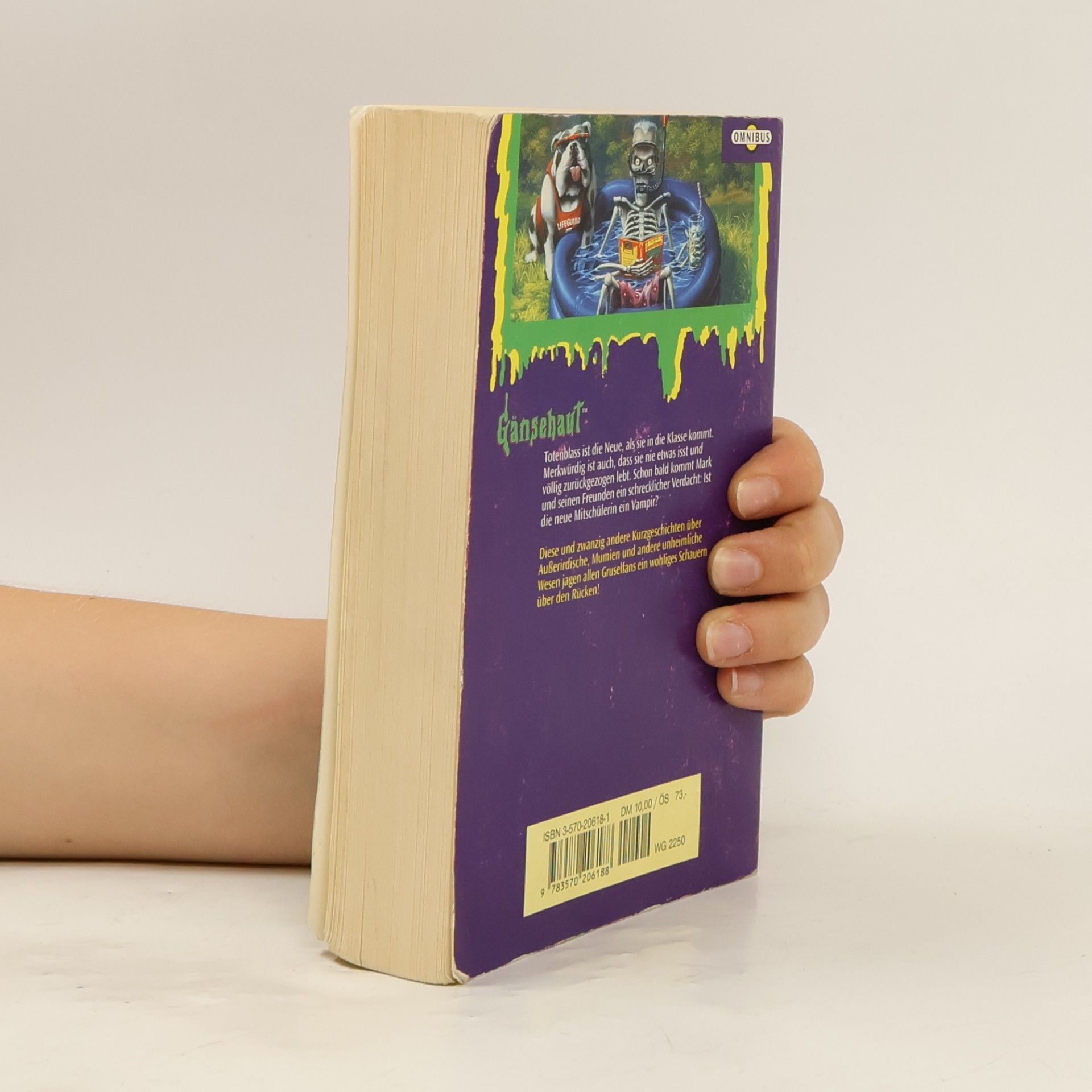R. L. Stine Gänsehaut. Schauergeschichten