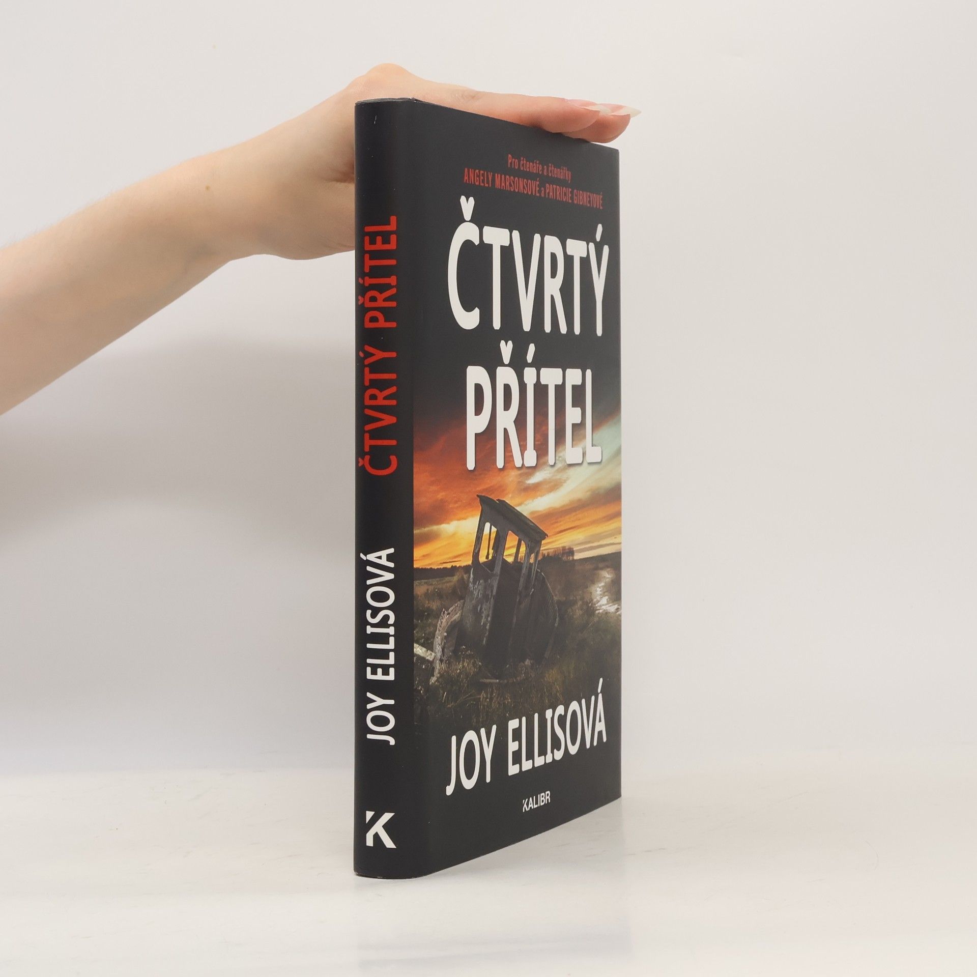 Joy Ellis Čtvrtý přítel