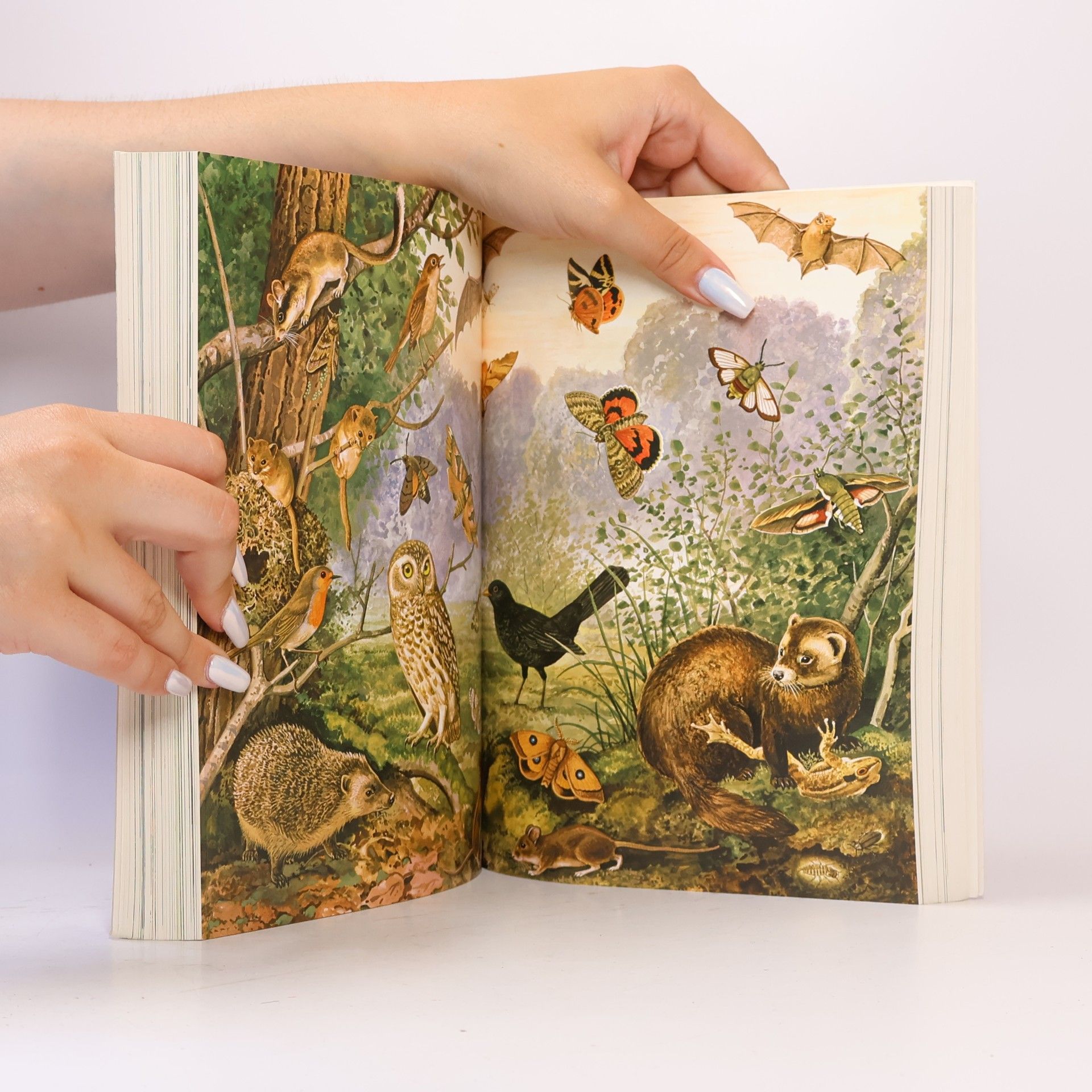 Various authors Grzimeks Tierleben 2. Insekten