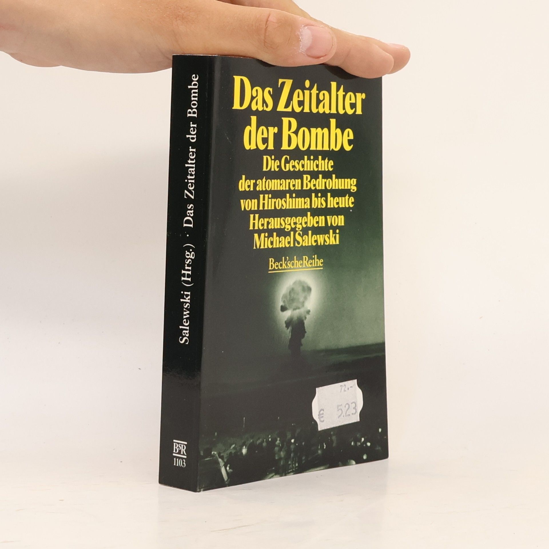 Michael Salewski Das Zeitalter der Bombe