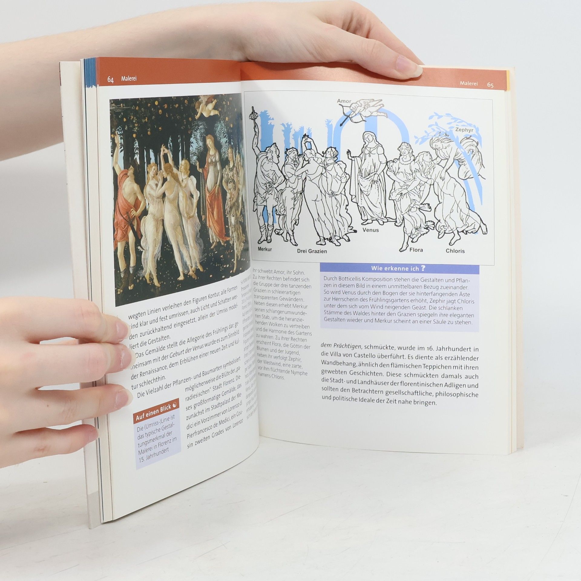 Astrid Koke Wie erkenne ich? - die Kunst der Renaissance