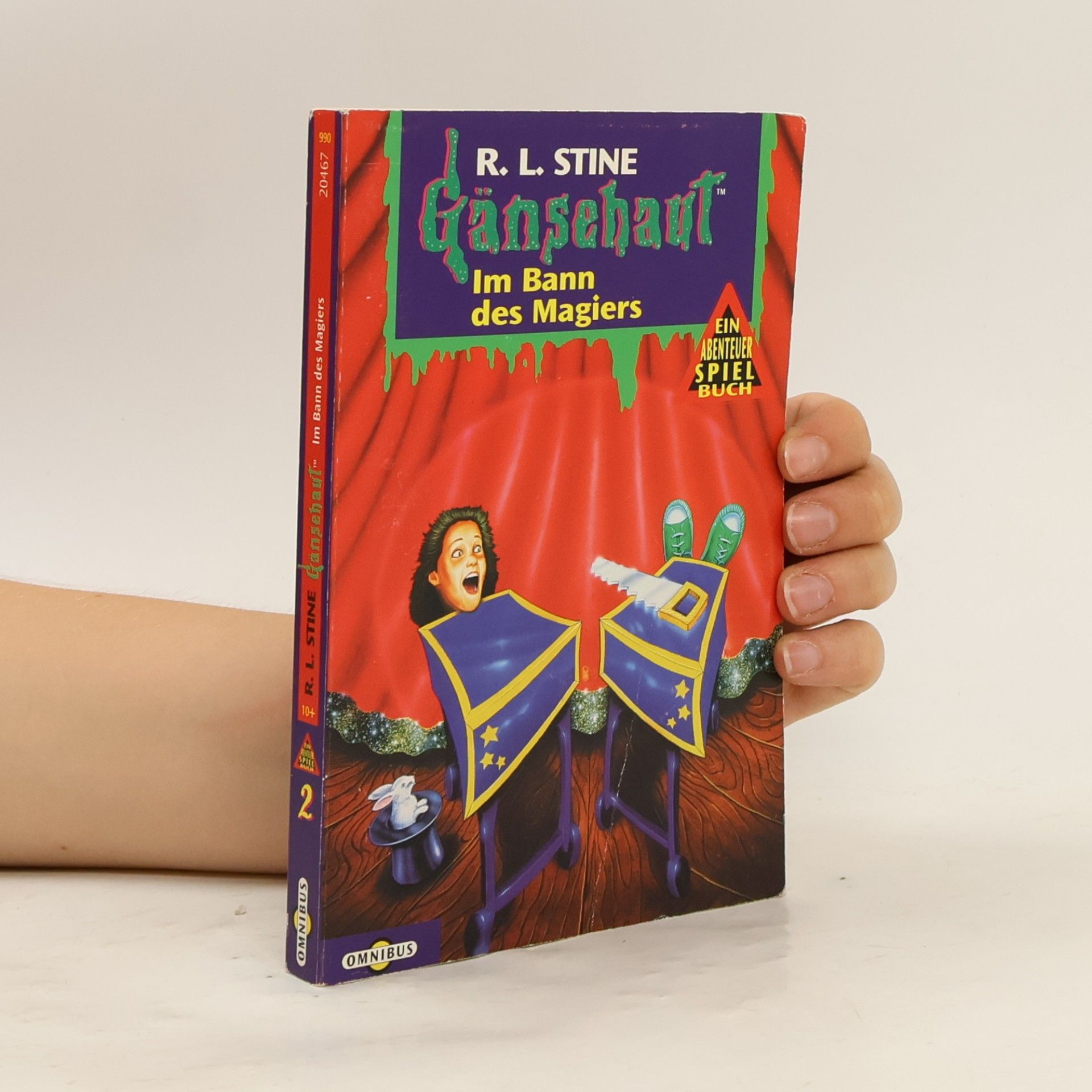 R. L. Stine Gänsehaut, Ein Abenteuer-Spielbuch. Tl.2. Im Bann des Magiers