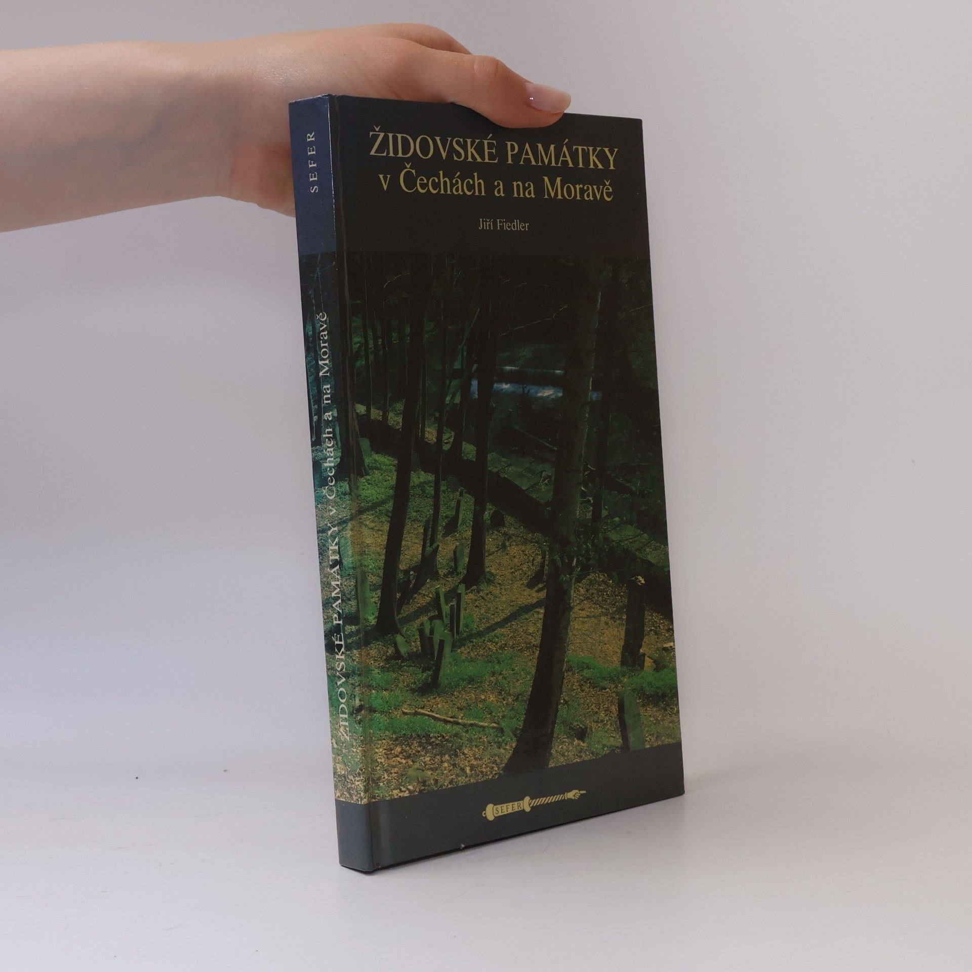 Jiří Fiedler Židovské hřbitovy v Čechách a na Moravě