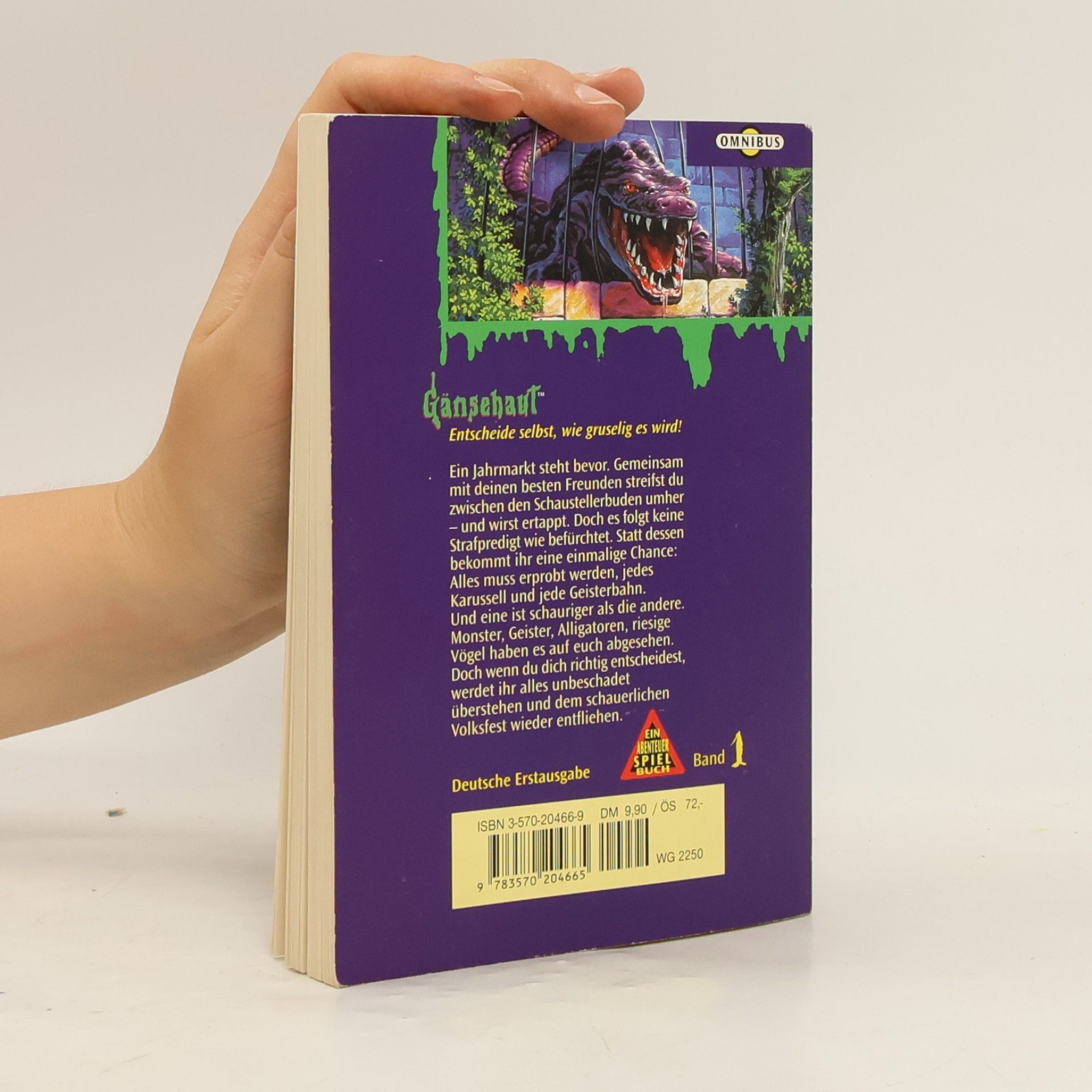 R. L. Stine Gänsehaut: Die Geisterbahn des Grauens