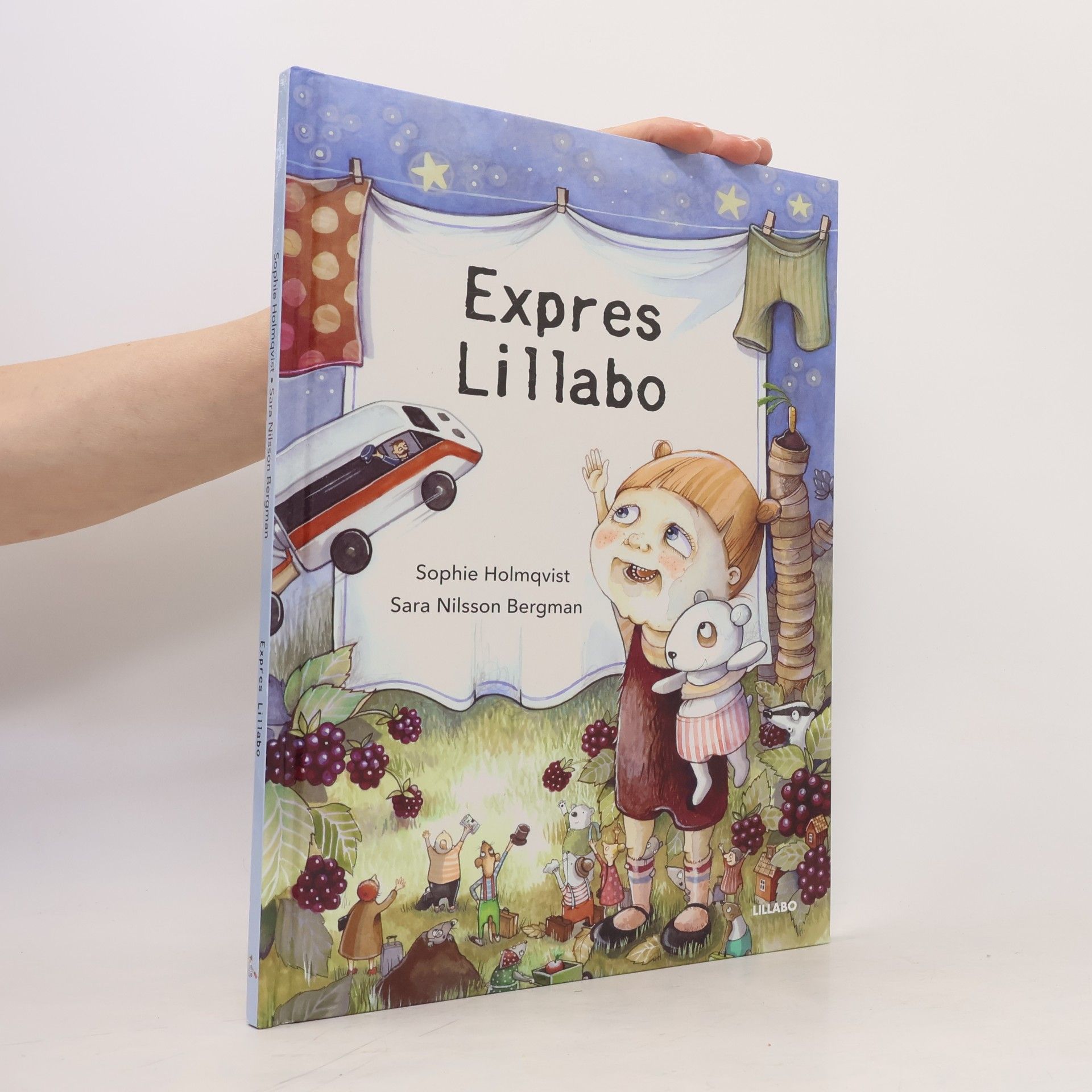 Sophie Holmqvist Der Lillabo-Express