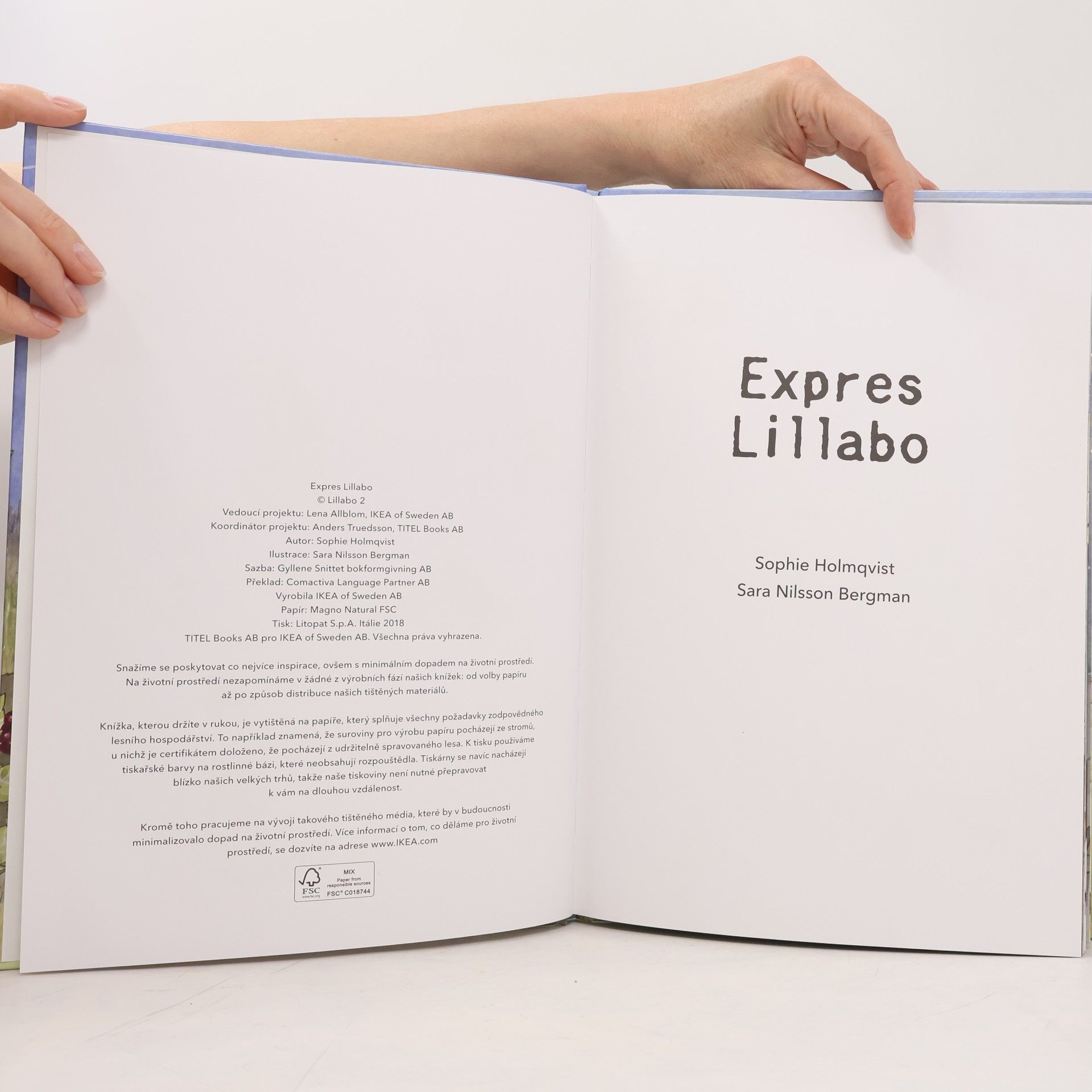 Sara Nilsson Bergman Der Lillabo-Express