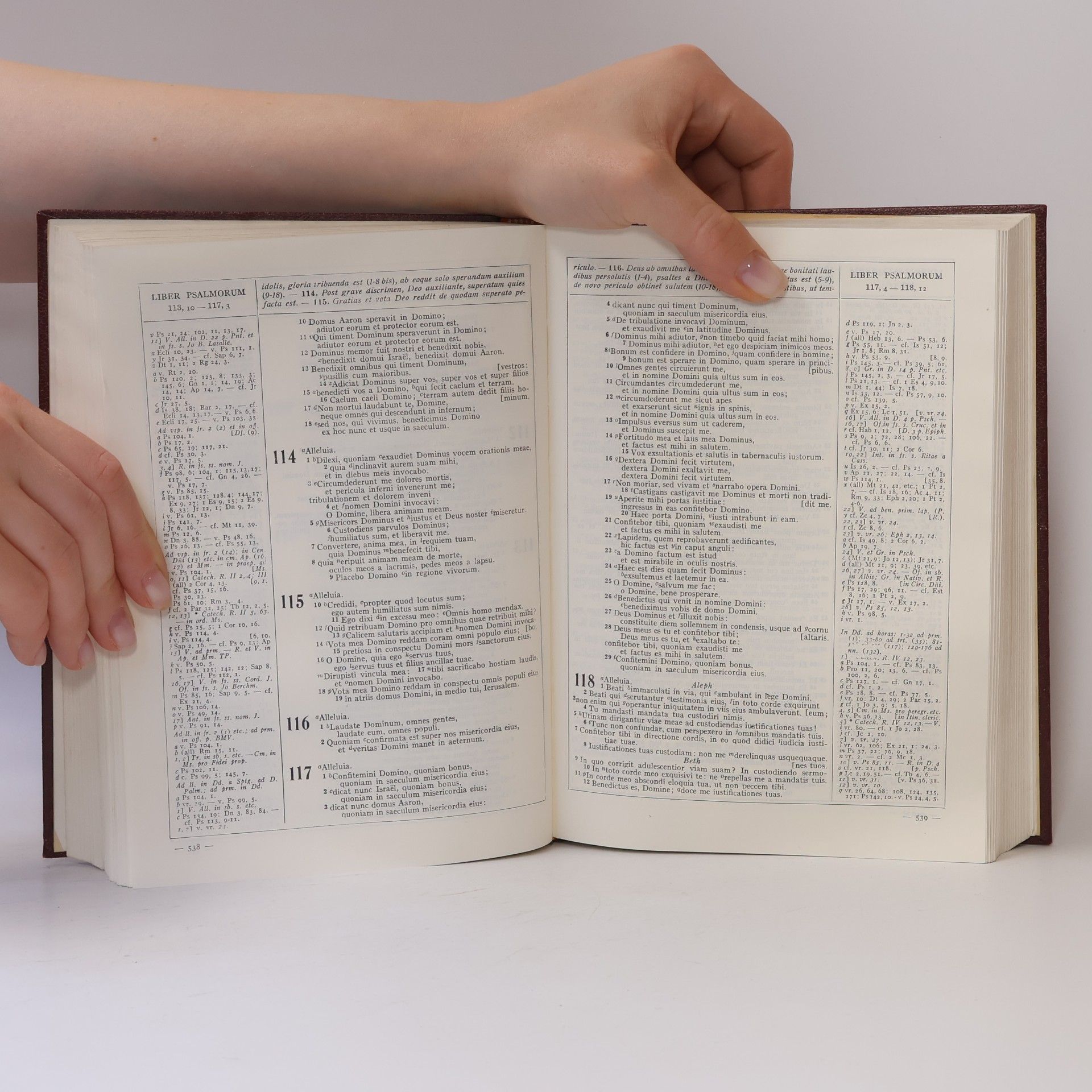 Aloisius Gramatica Bibliorum Sacrorum iuxta Vulgatam Clementinam (Nova Editio)