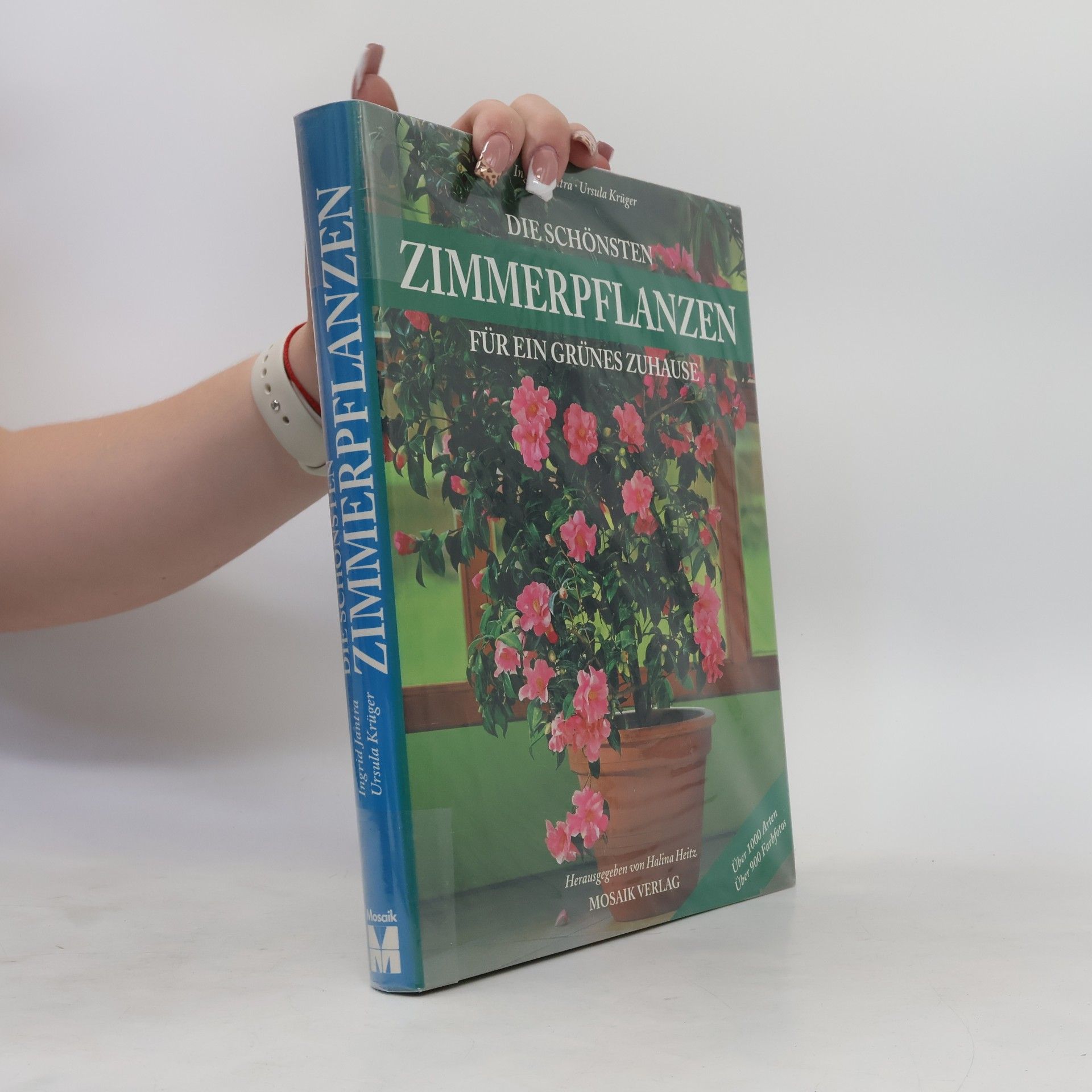 Ursula Krüger Die schönsten Zimmerpflanzen für ein grünes Zuhause